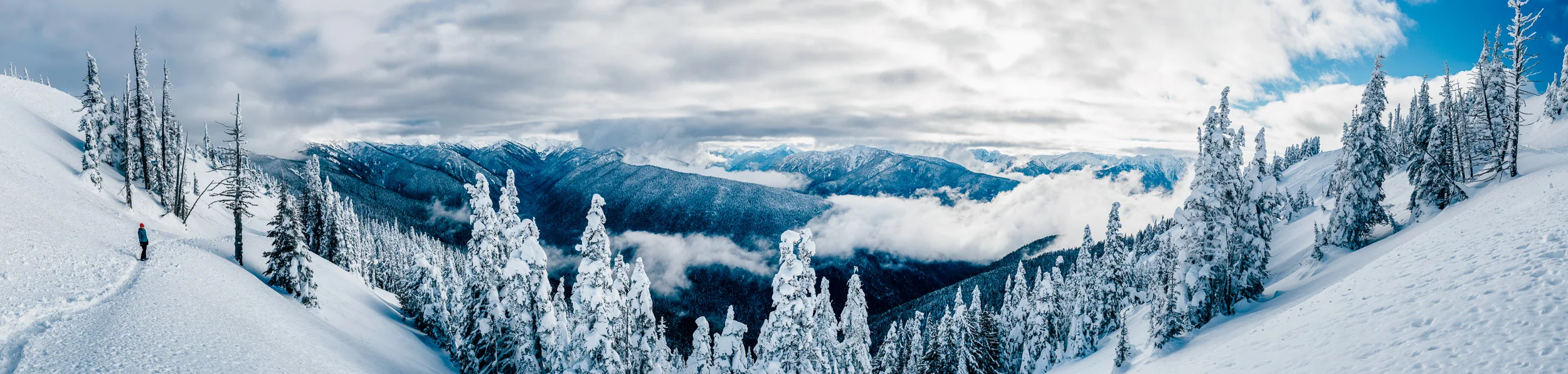 _MG_7548-Pano-Edit.jpg