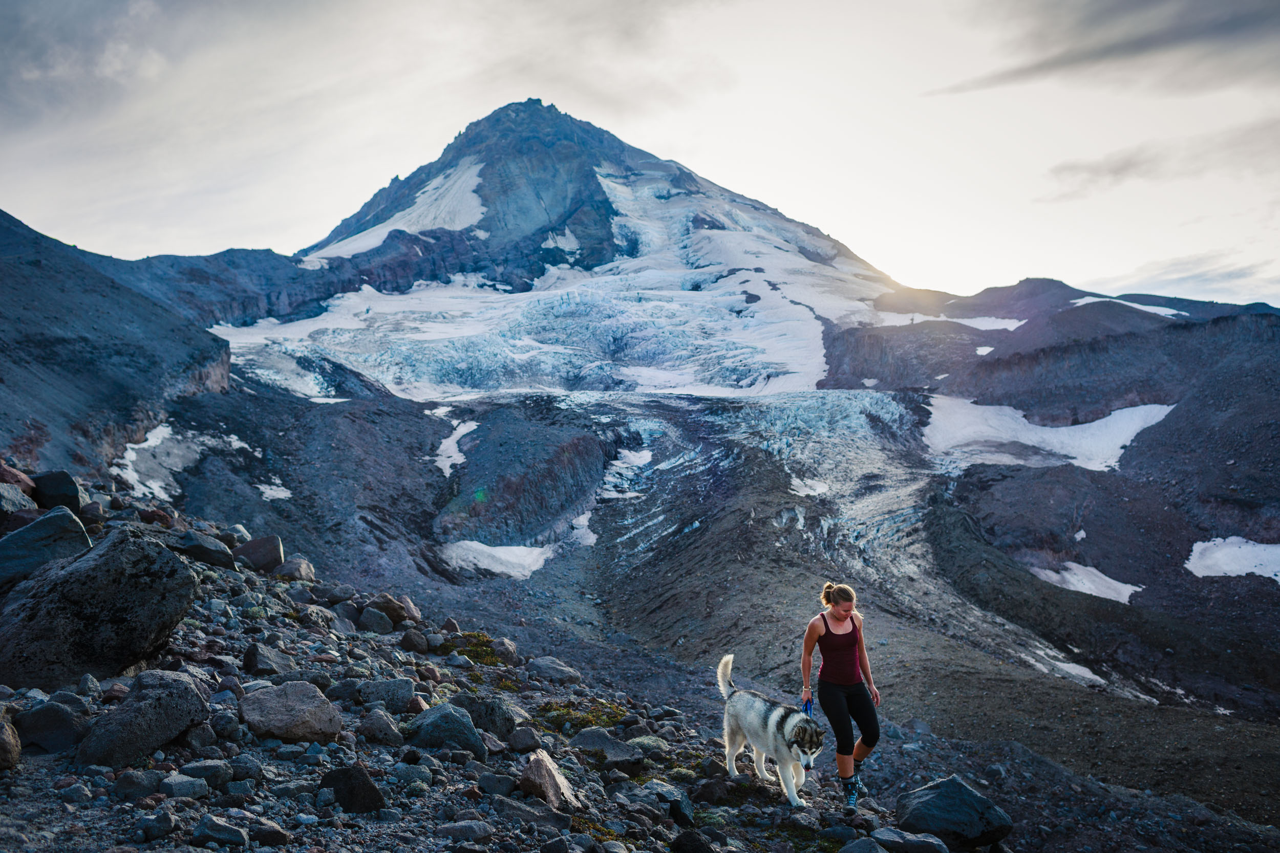 Adventure dog at Mt Hood