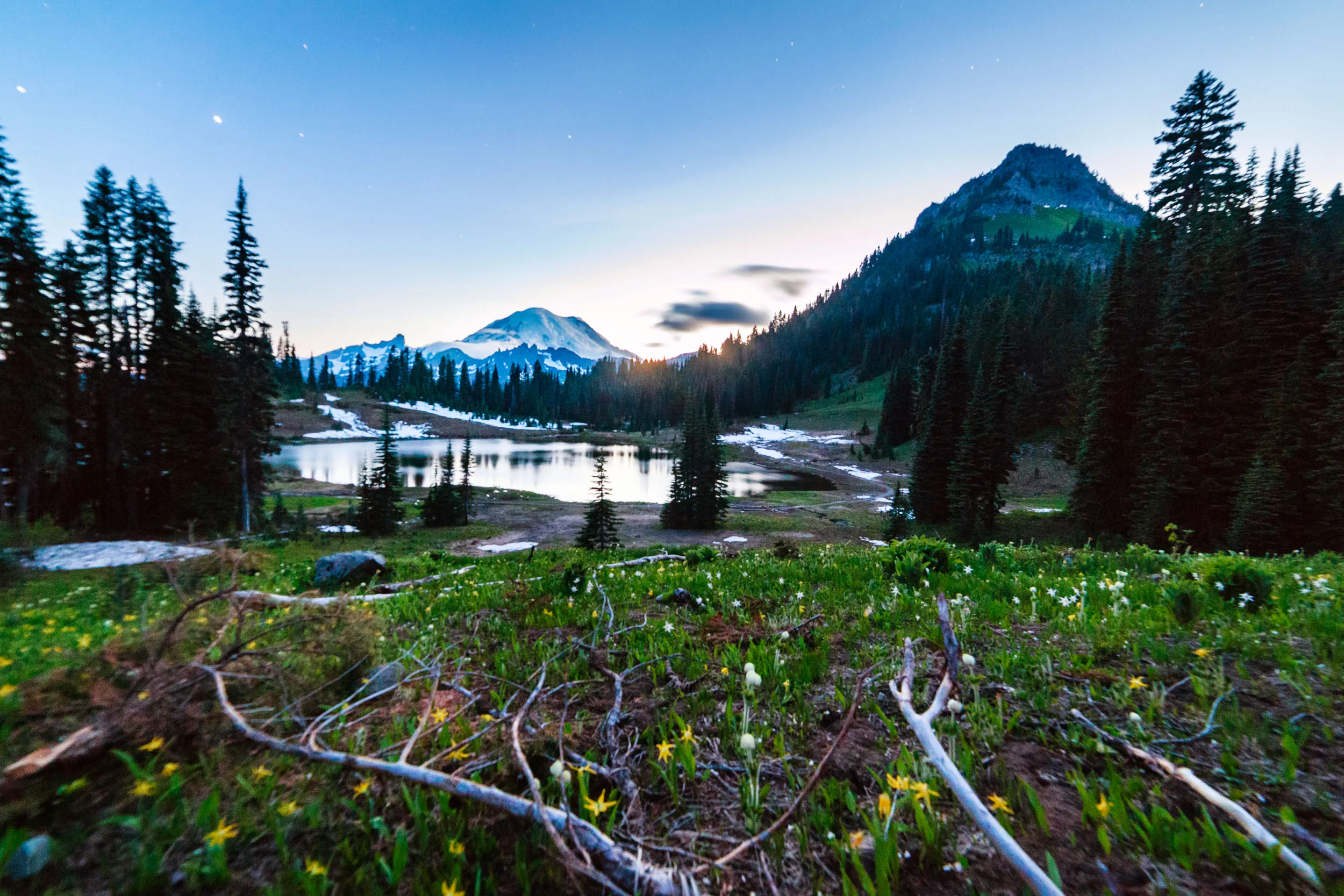 _MG_2828-Edit.jpg