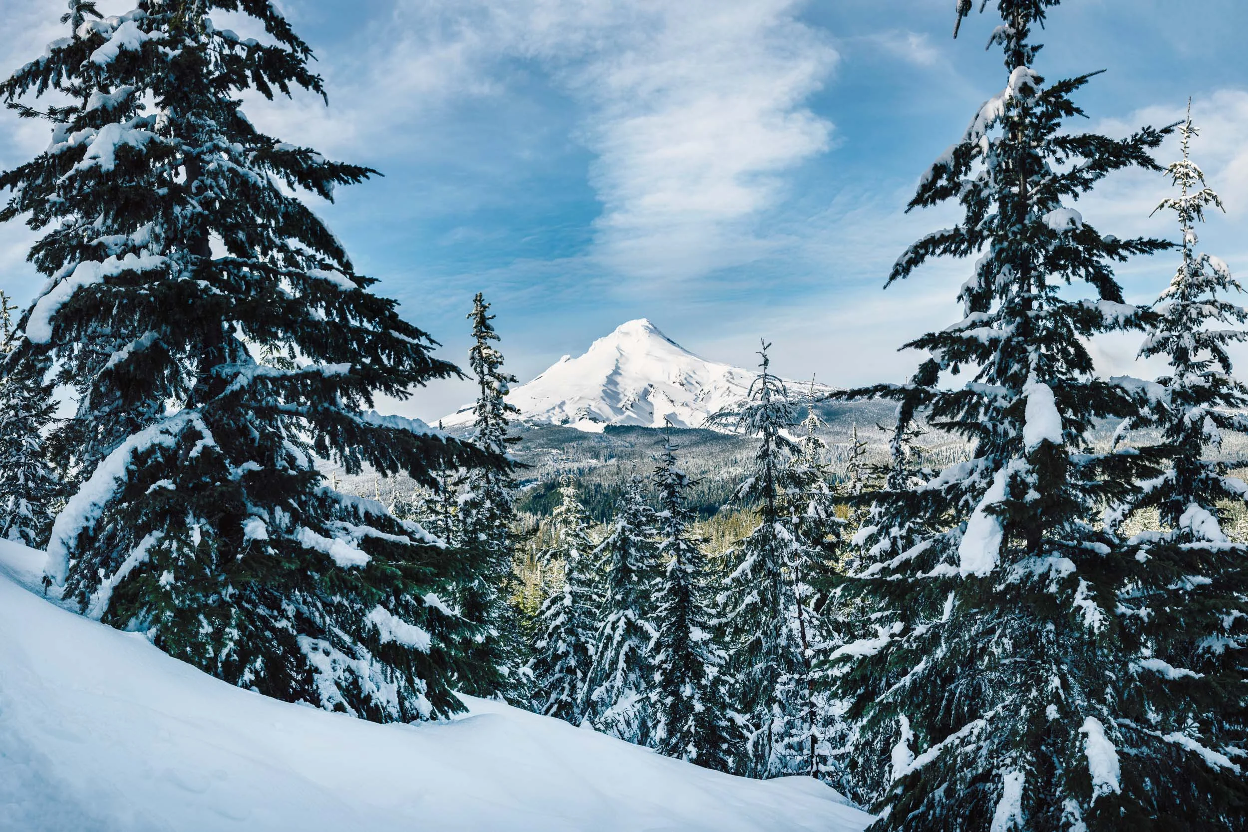 Snowy Mt Hood