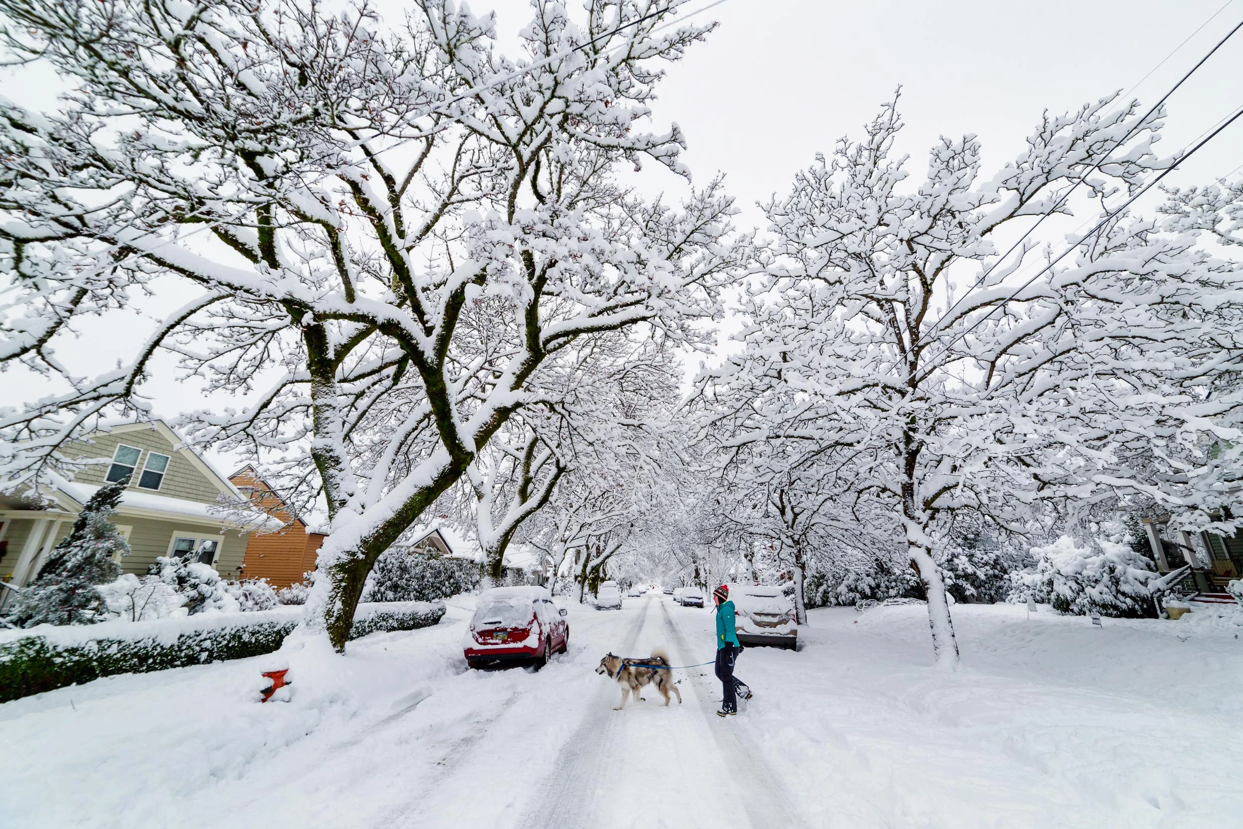 Snowy Portland