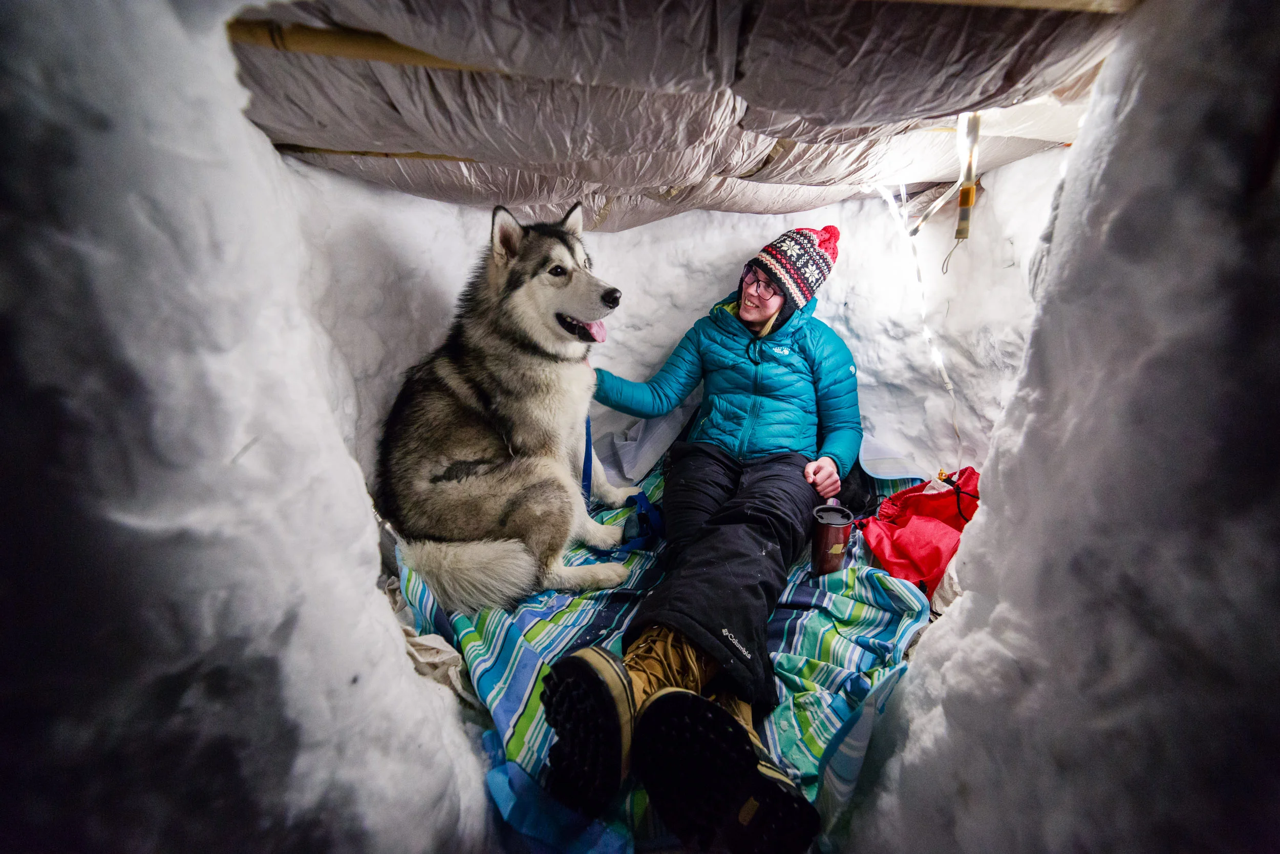  Young woman and her big Alaskan Malamute puppy relaxing in a snow fort after an unsually big snow storm in Portland, Oregon 