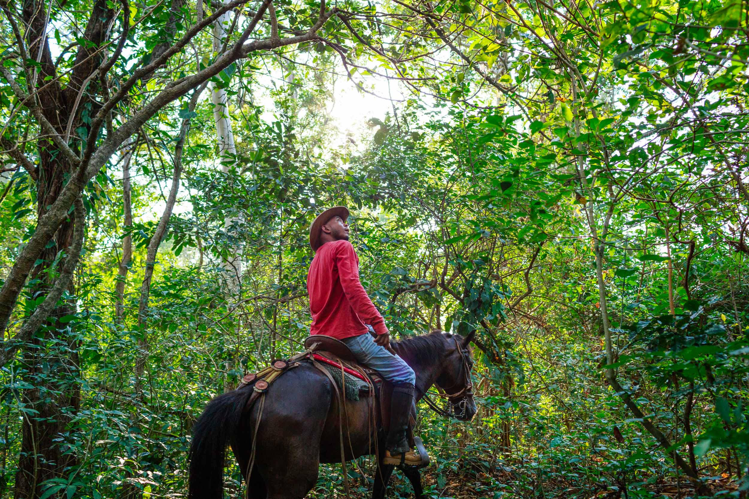  Travel, 2017, central america, explore, adventure, nicargua, horse, ometepe, 