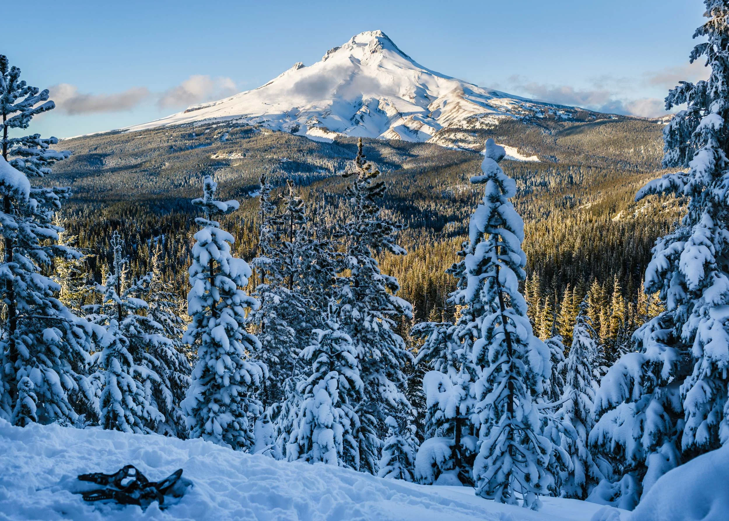 Mt Hood winter day