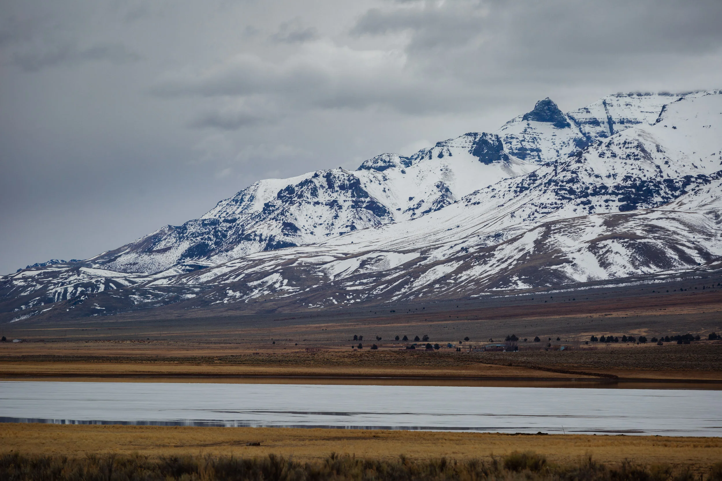 _MG_7035.jpg