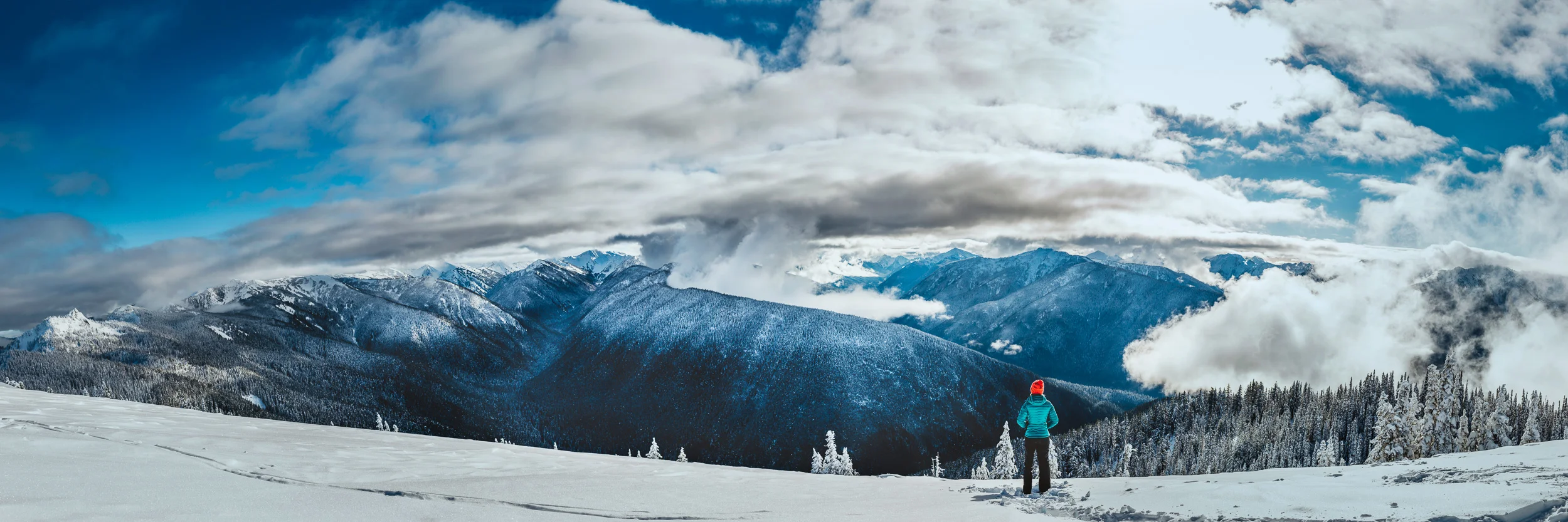 Hurricane Ridge view