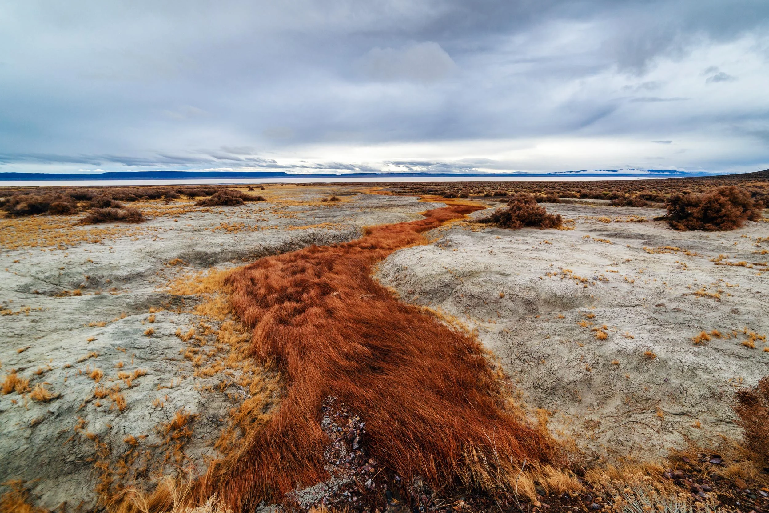  Snaking hot volcanic creek as it cuts through the alien landscape from the Alvord Hot Spring to the Alvord Desert 