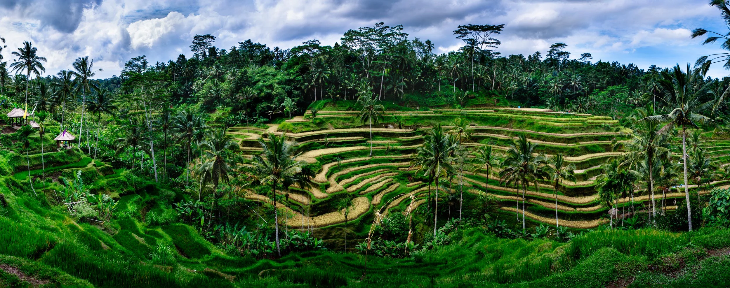 Bali Rice Terraces