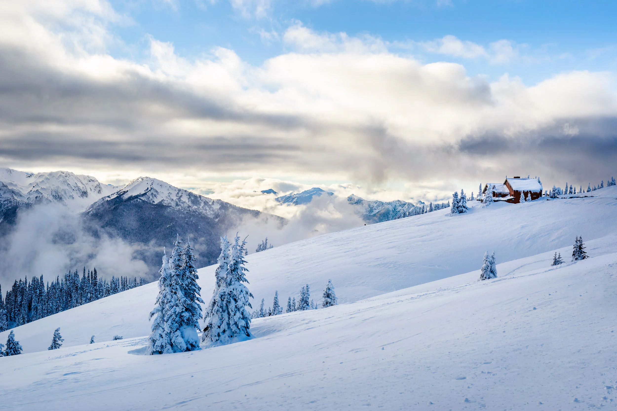 _MG_7912-Edit.jpg