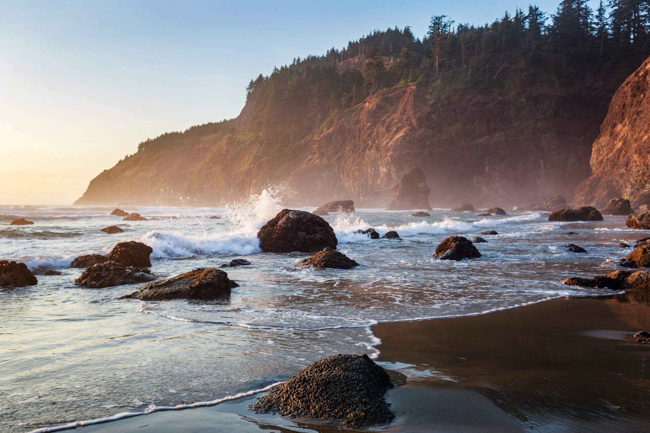 _MG_8220-Edit.jpg