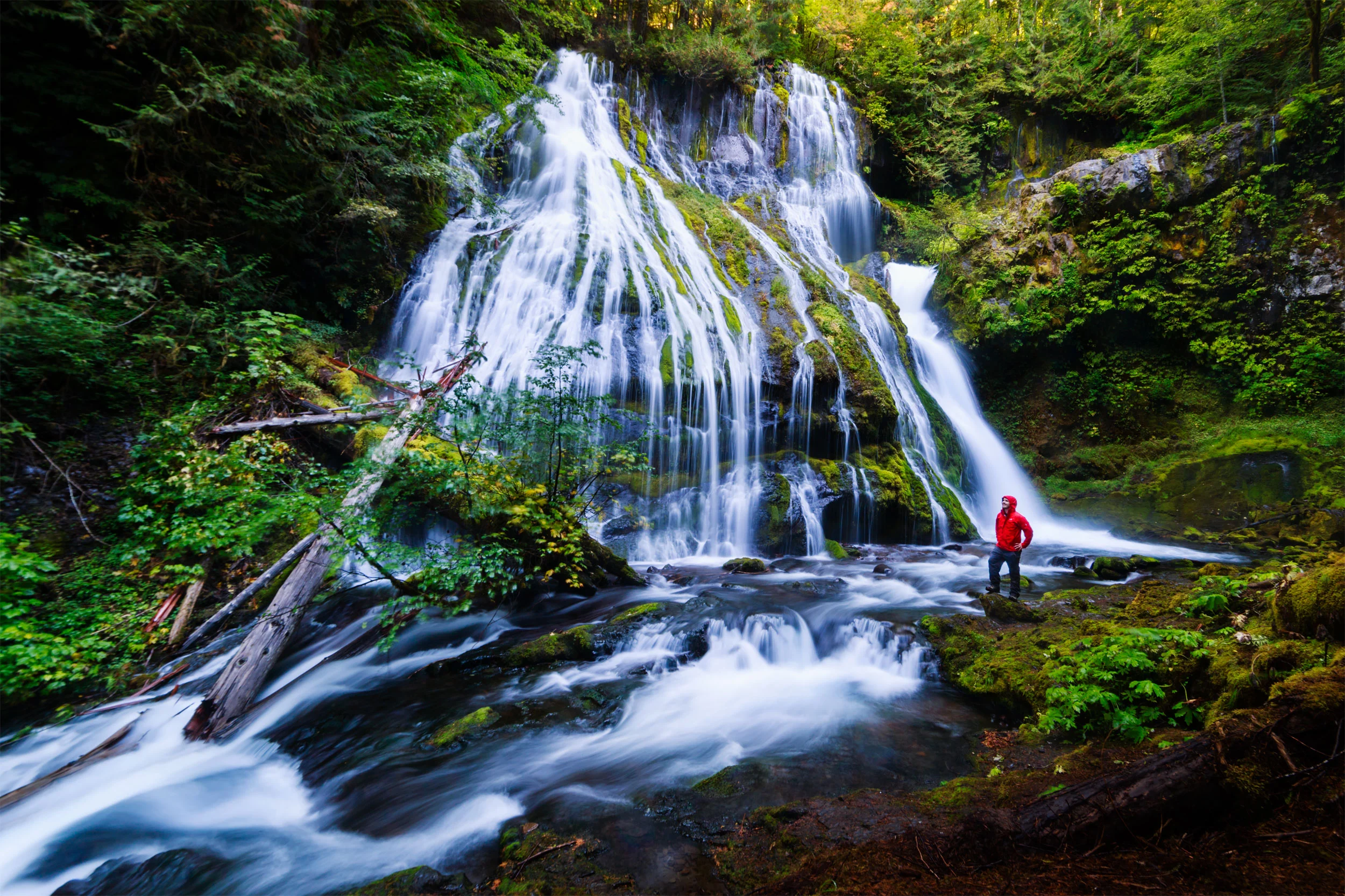 panther-creek-falls.jpg