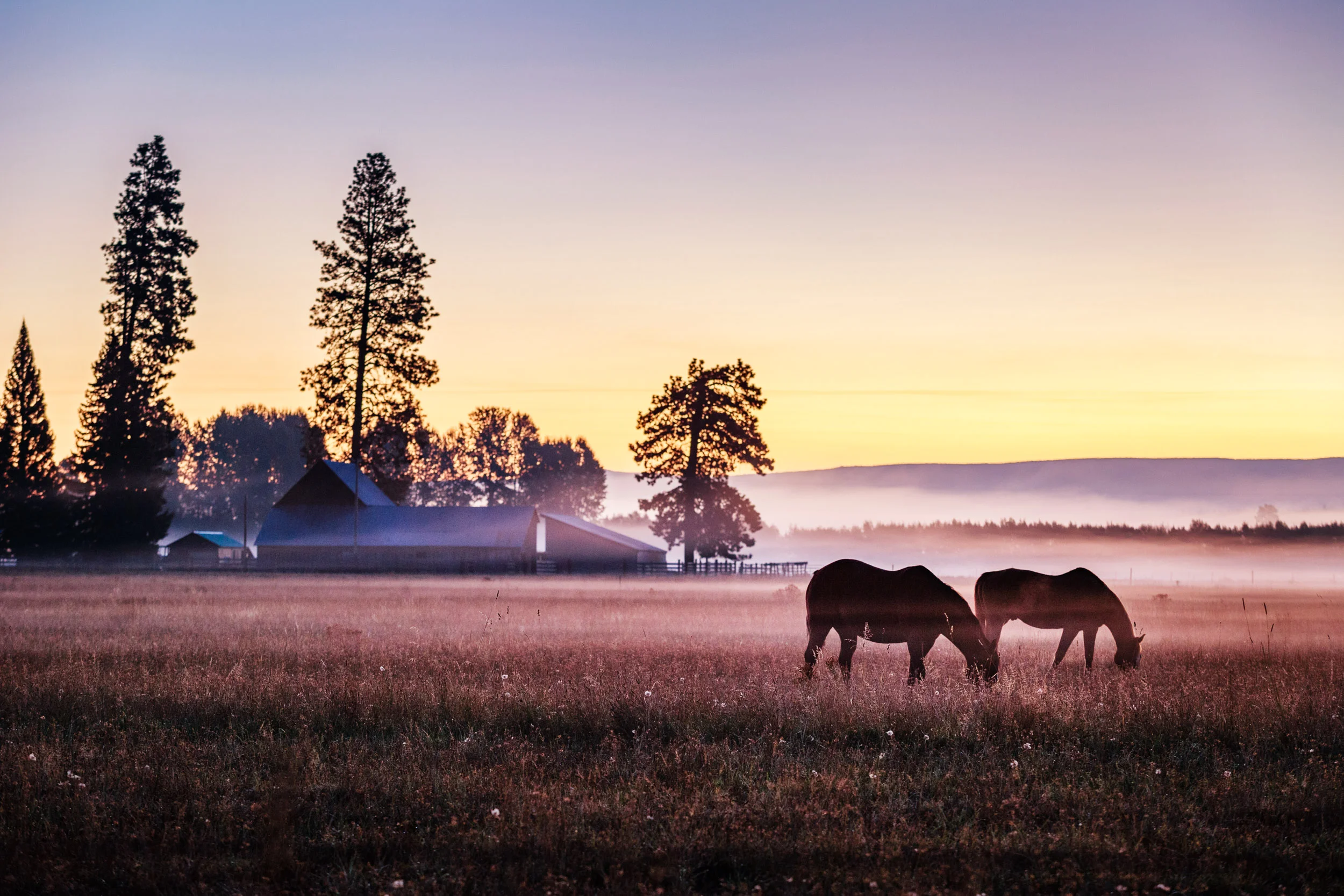 Glenwood, Washington