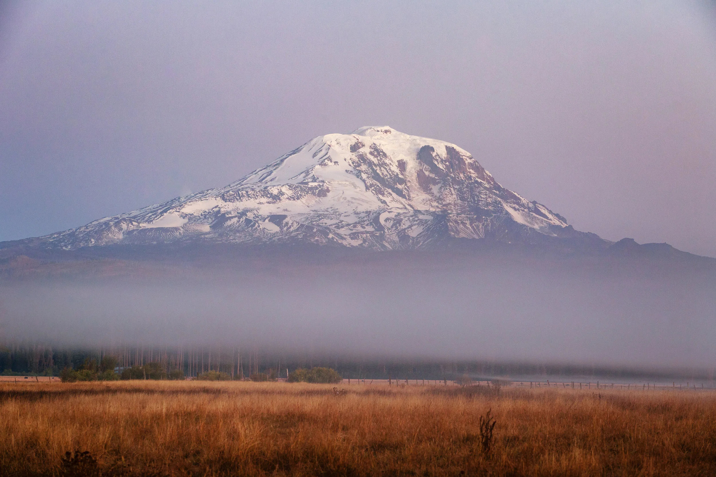 Mt Adams Fog
