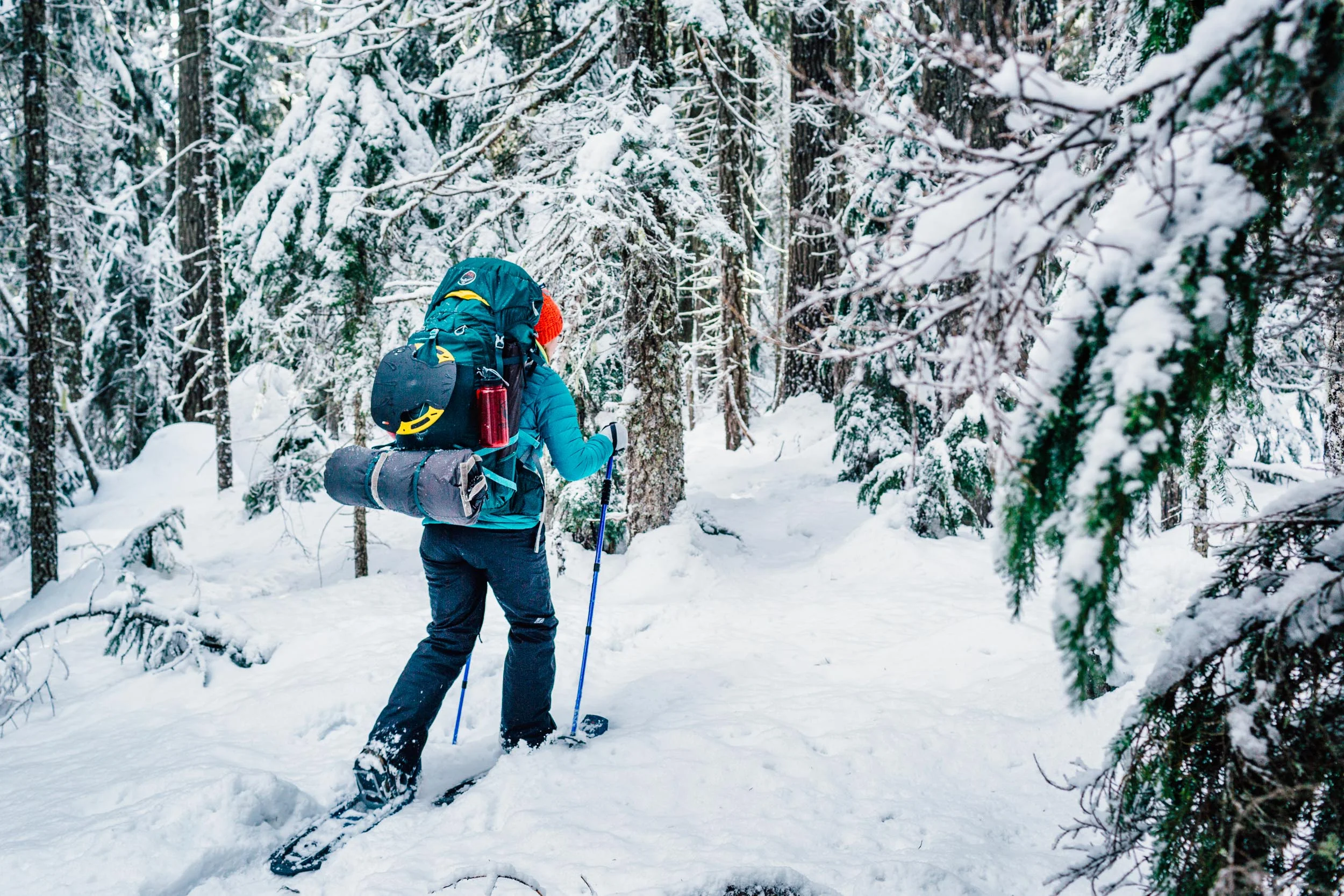 Backpacking through the snow