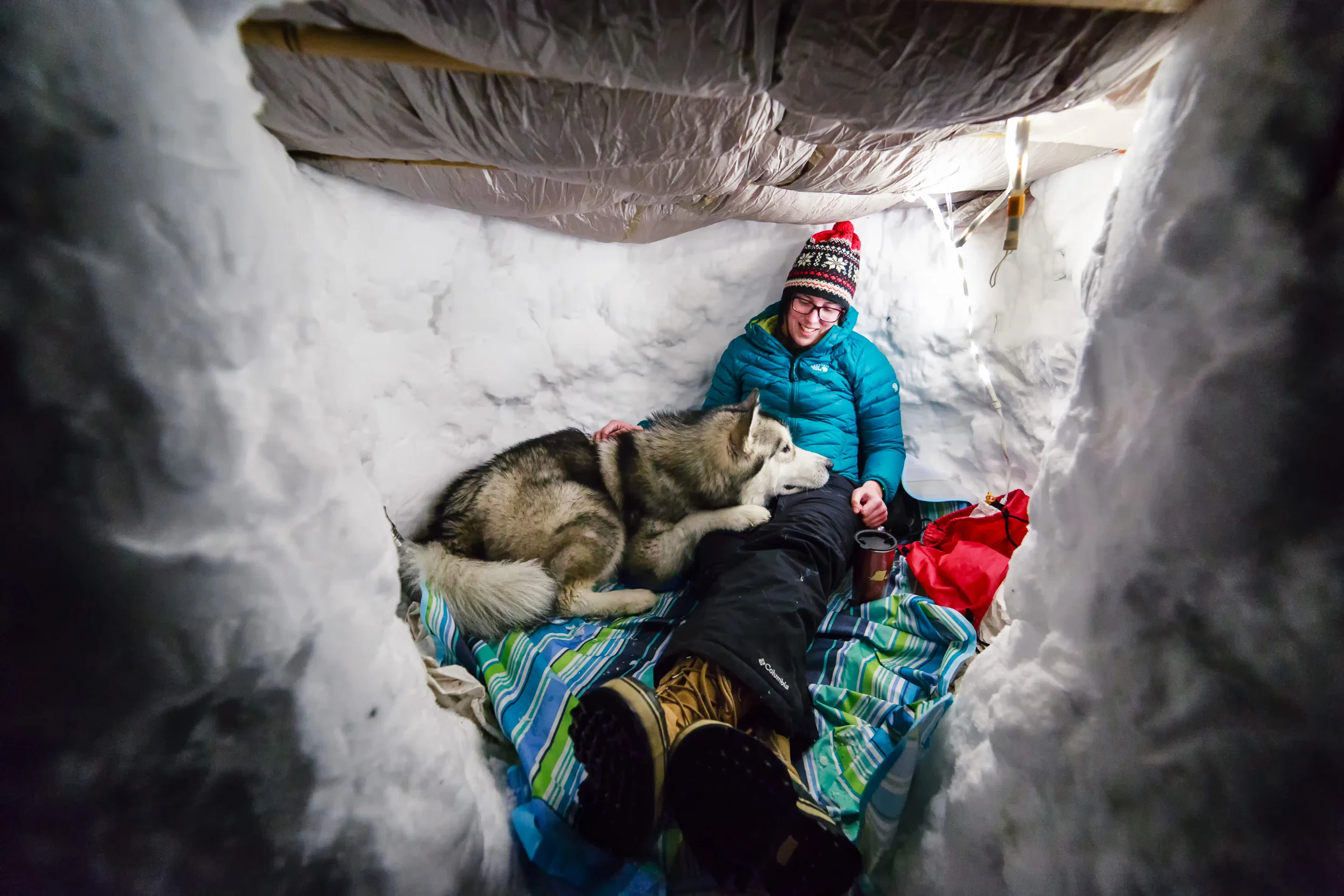  Young woman and her big Alaskan Malamute puppy relaxing in a snow fort after an unsually big snow storm in Portland, Oregon 