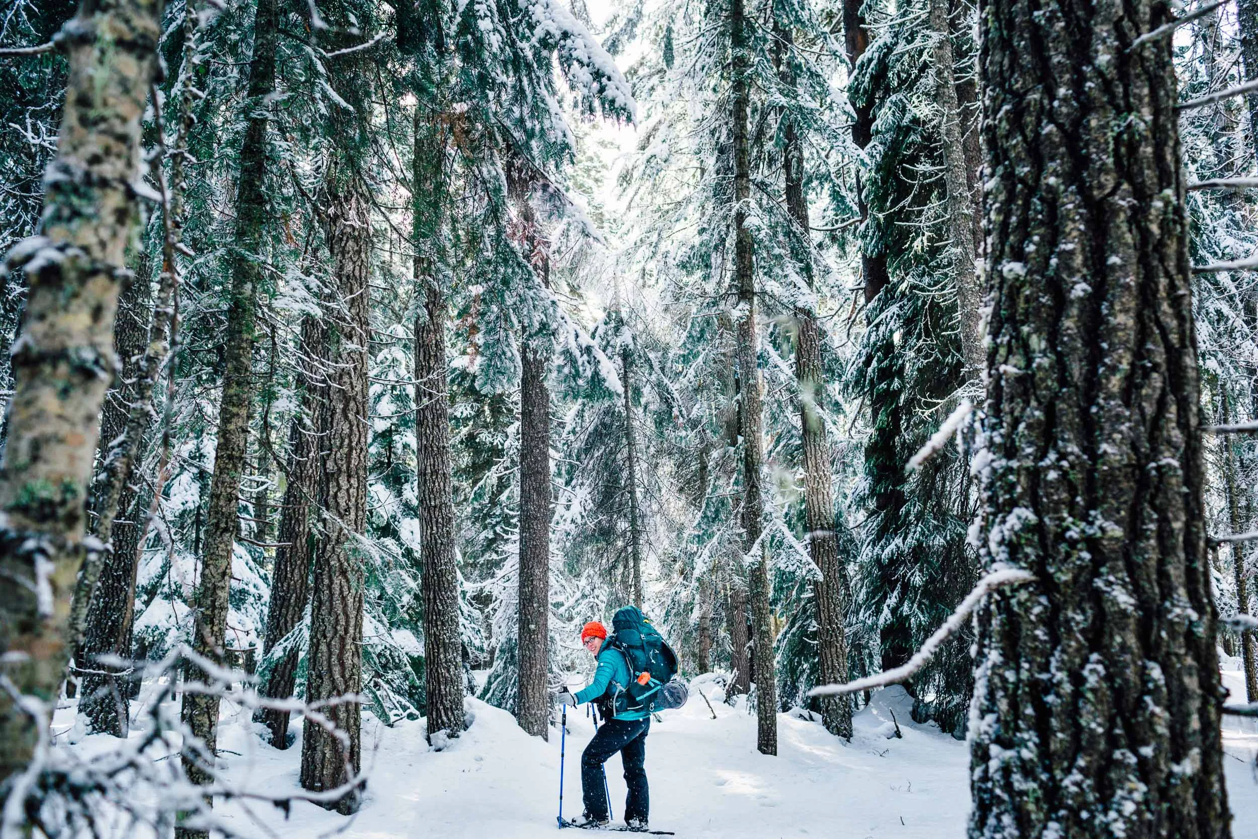 Backpacking through snowy forest