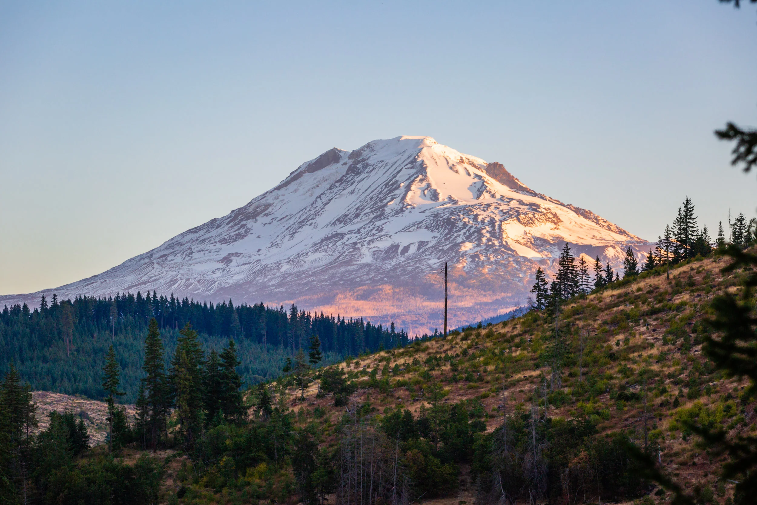 _MG_0036.jpg