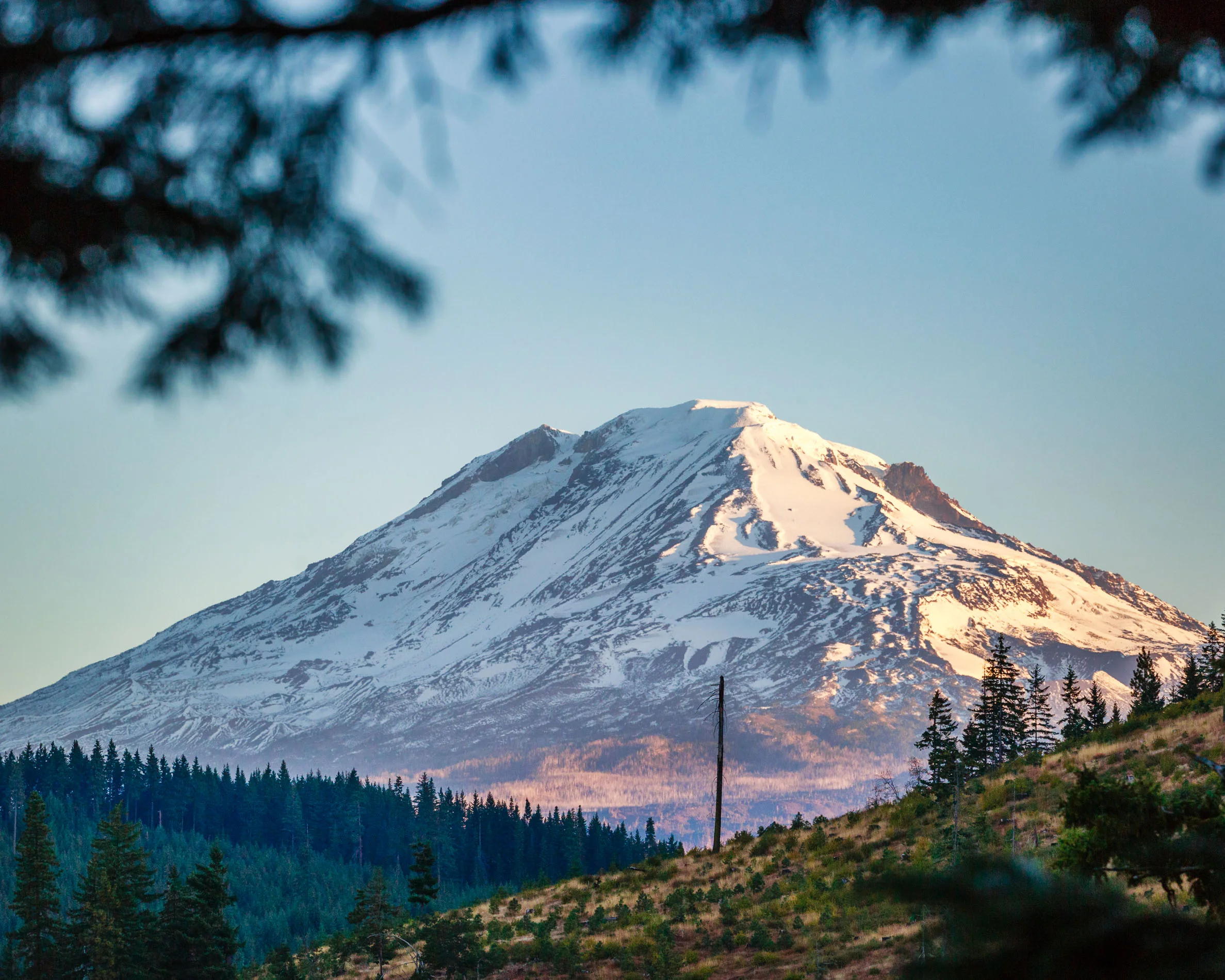 Mt Adams Framed
