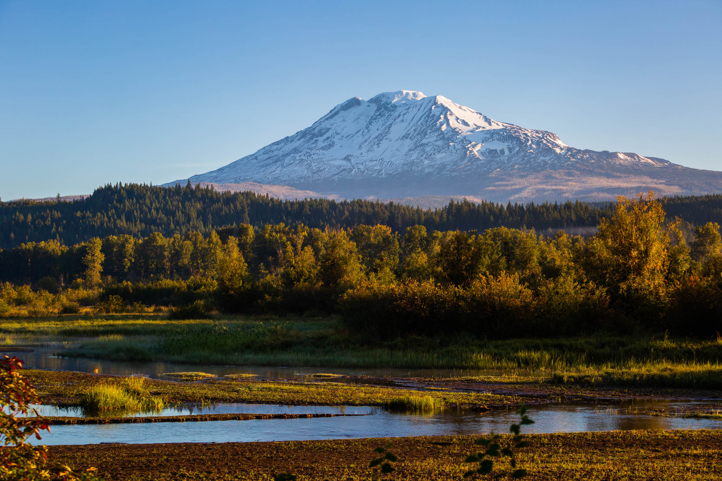 Mt Adams above Trout Lake