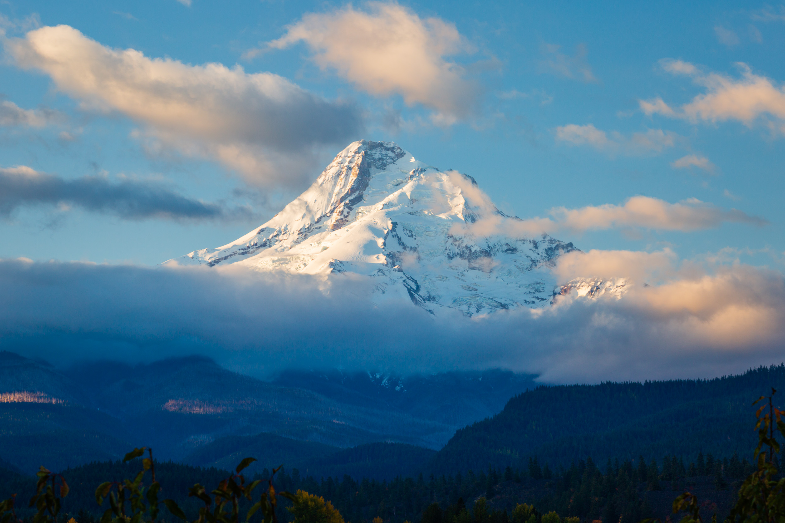 _MG_1620.jpg