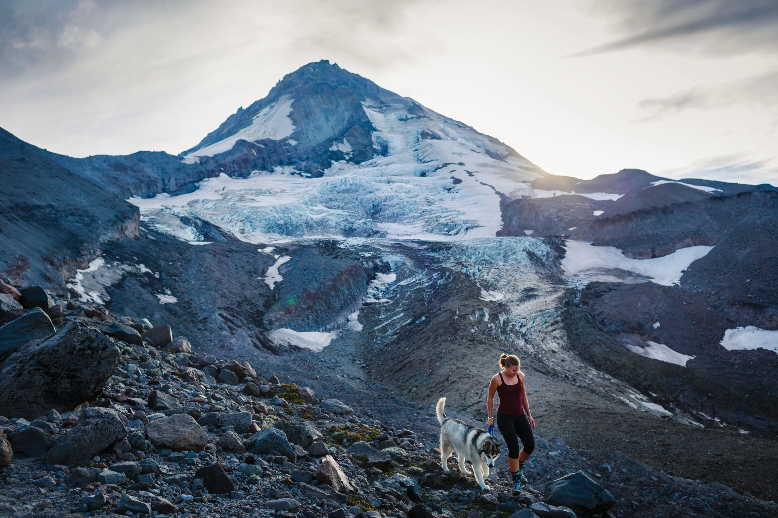 Adventure dog at Mt Hood