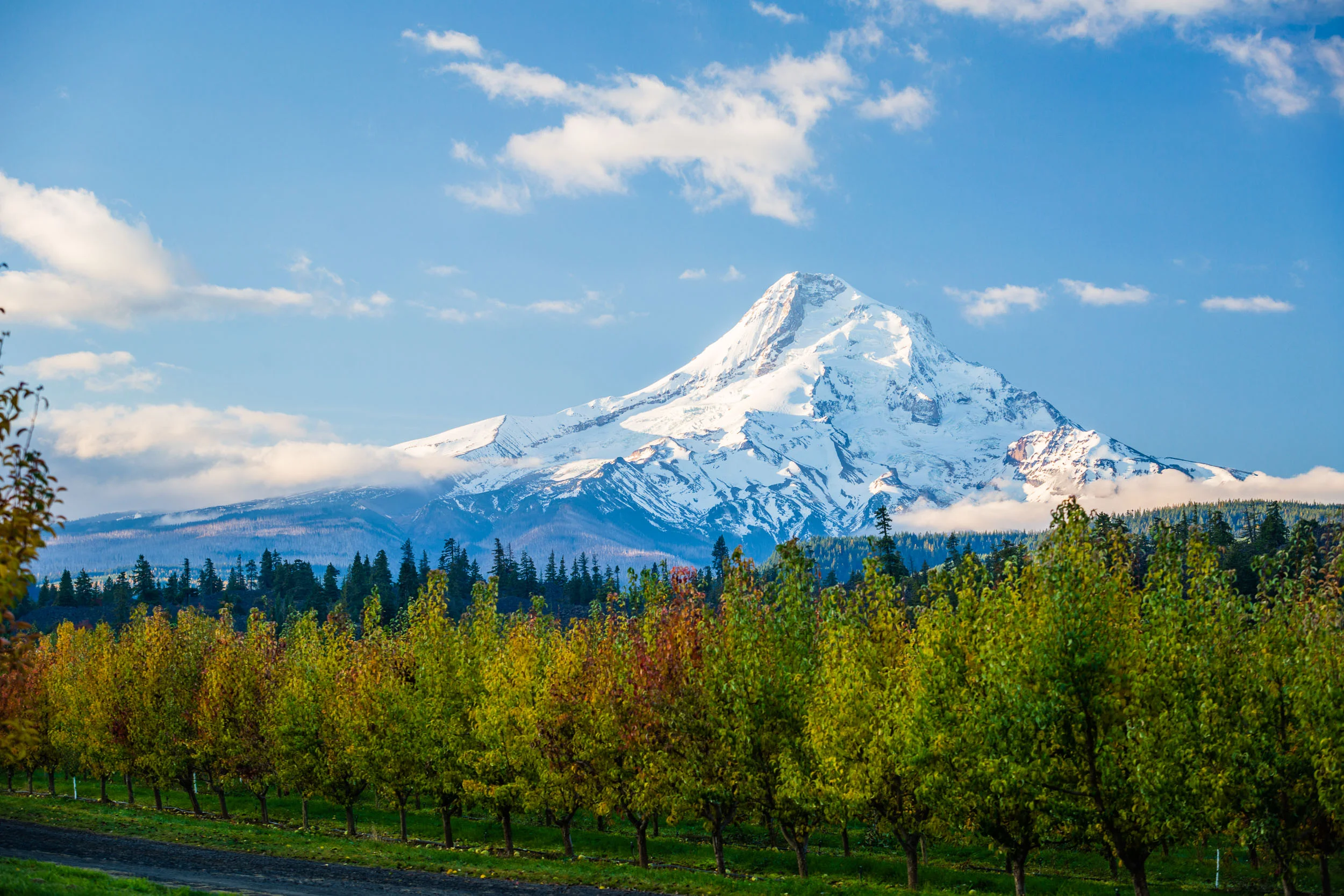 _MG_1704-HDR.jpg