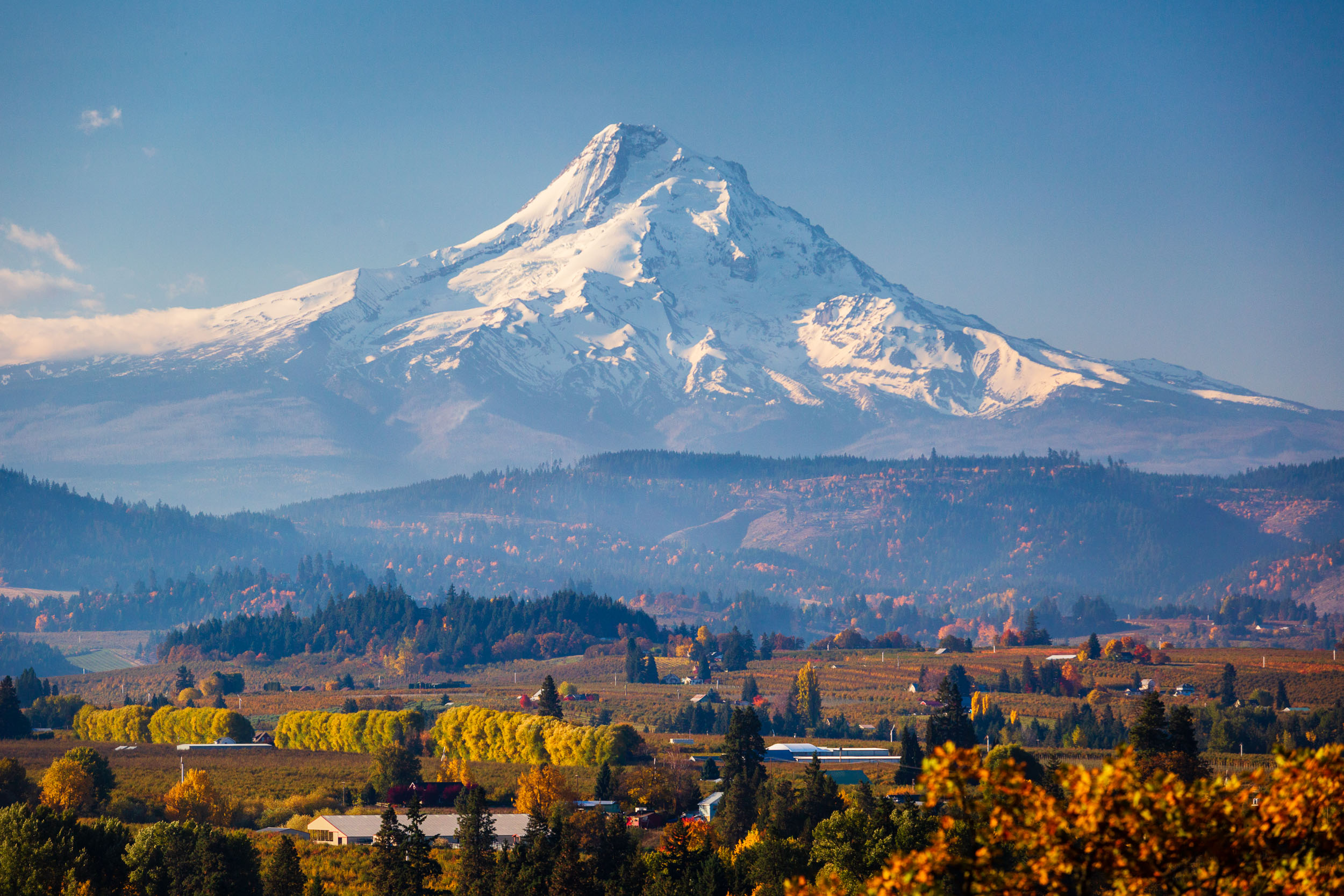 _MG_1931-Edit.jpg