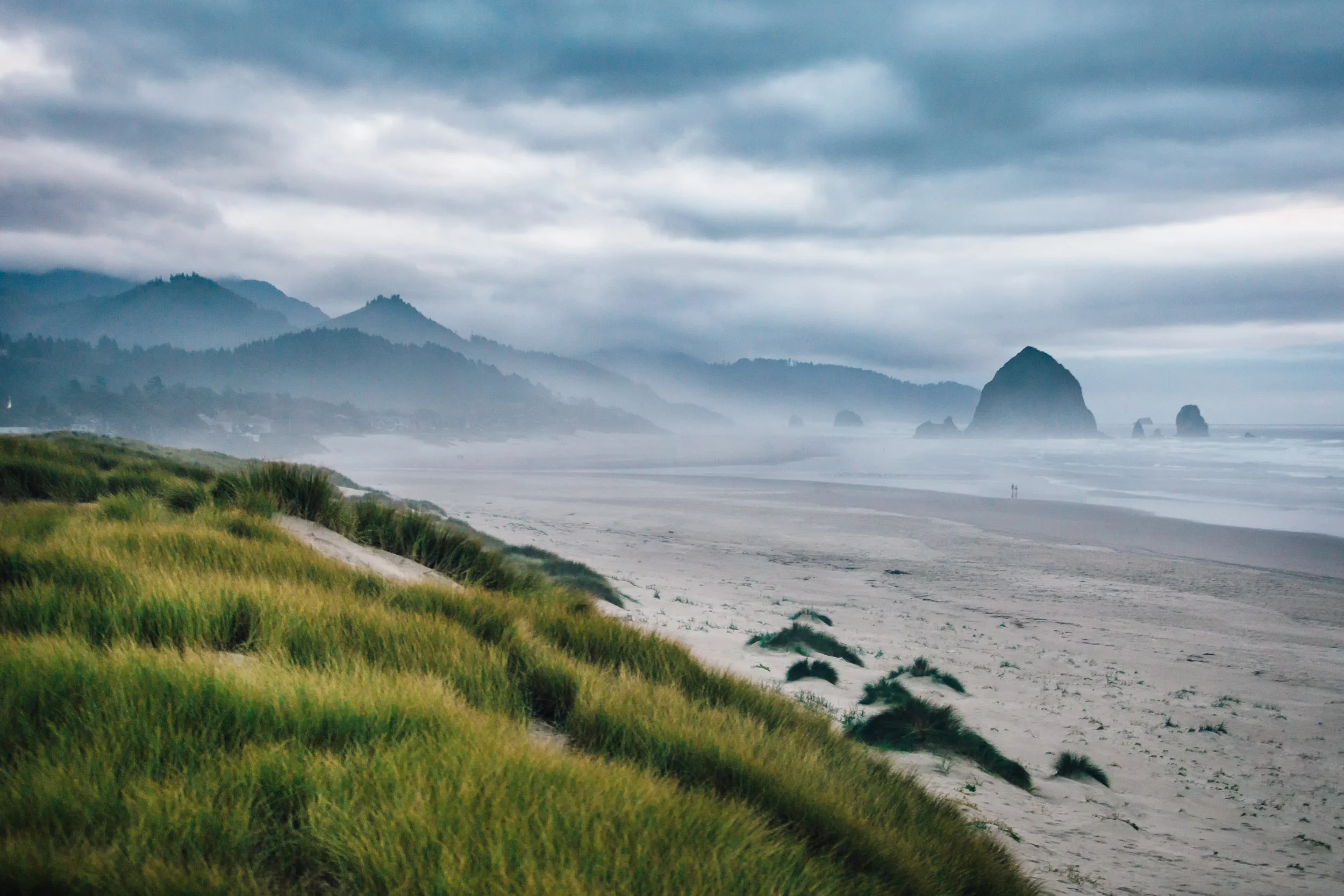 Cannon Beach Dunes