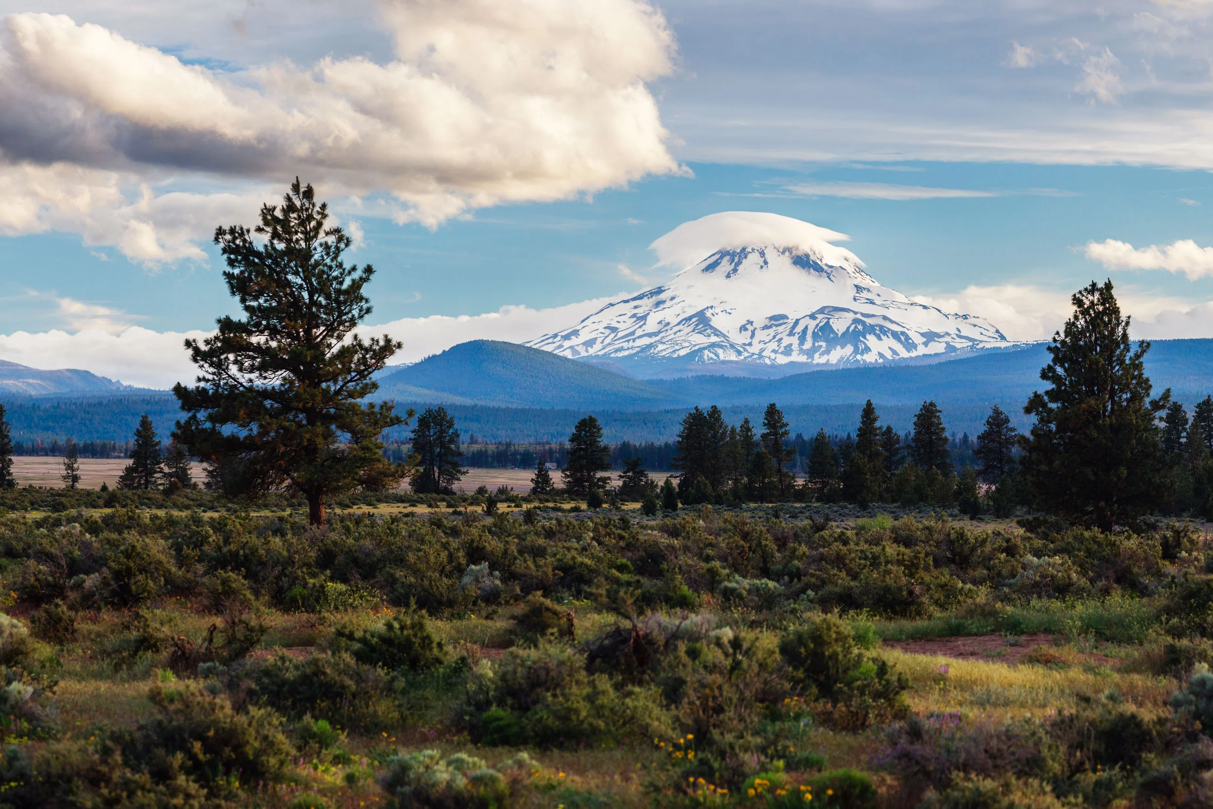 _MG_2969-Pano-Edit.jpg