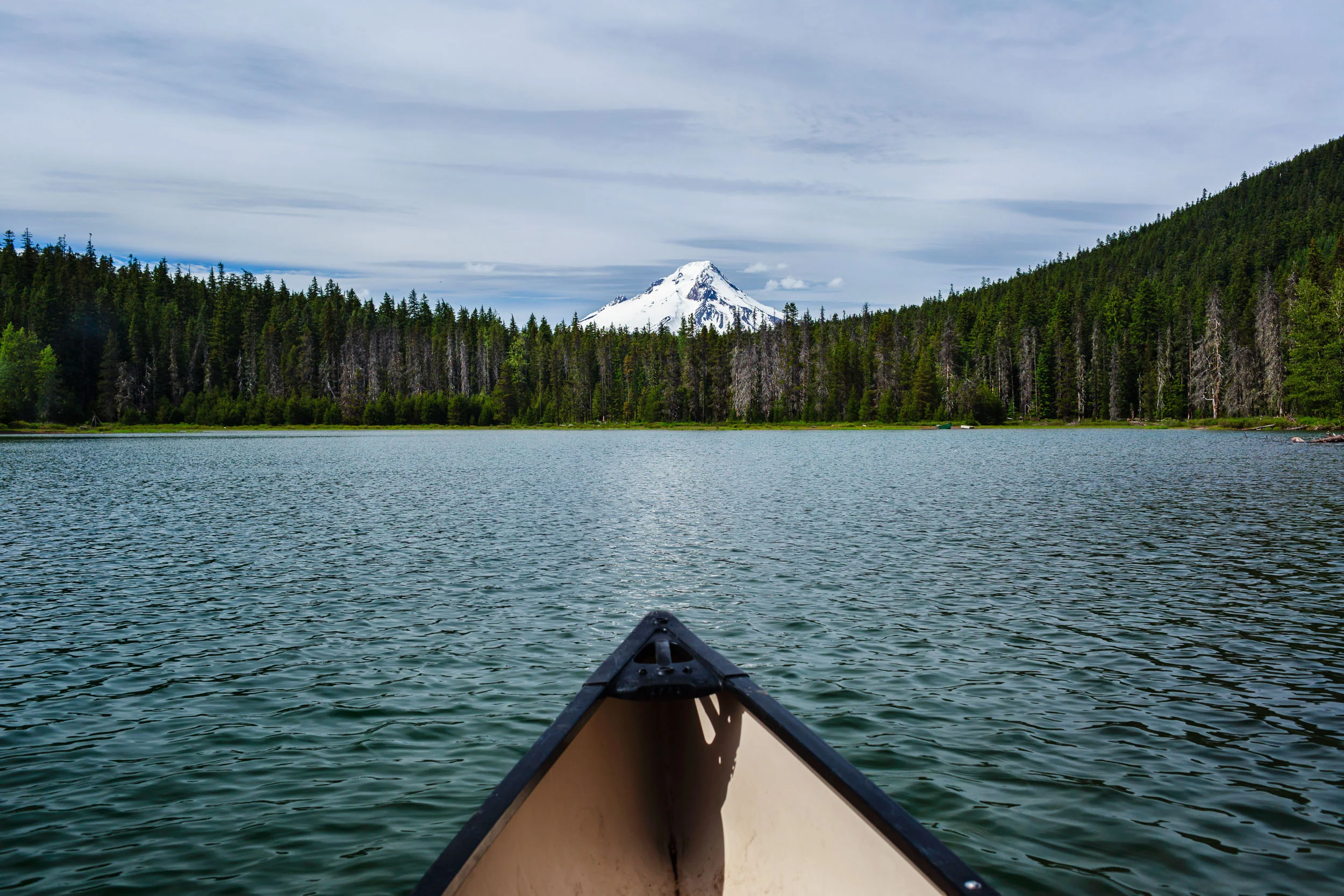 _MG_3950-Edit.jpg