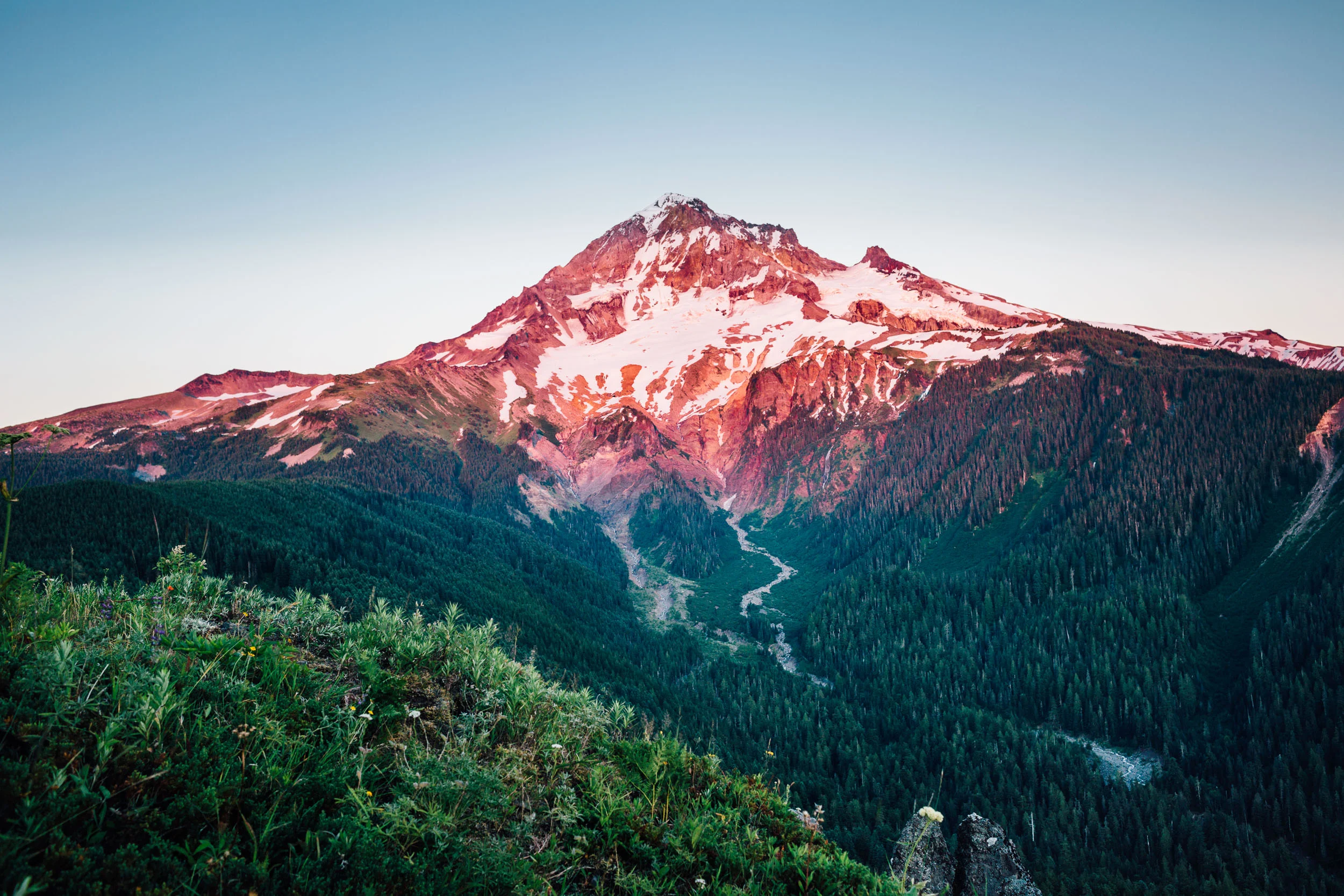 _MG_5352-Edit-2.jpg