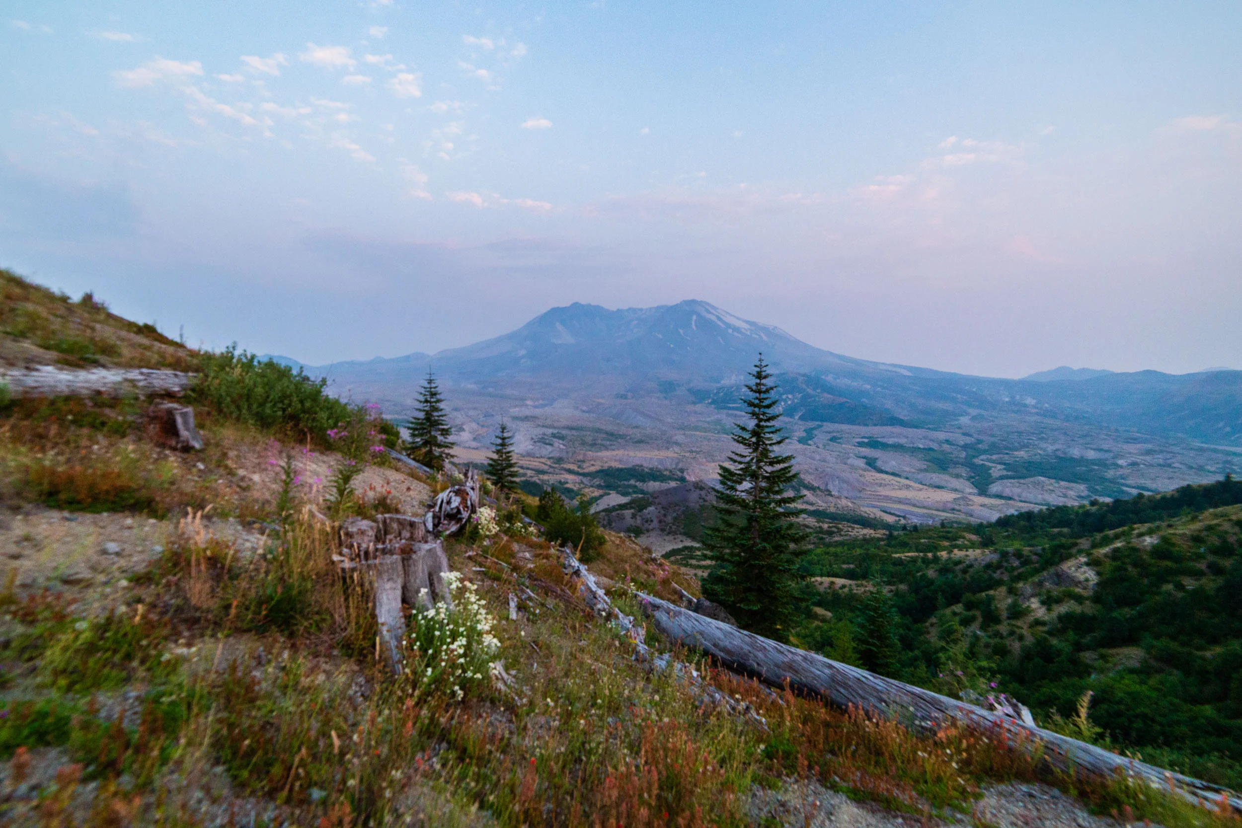 _MG_6432.jpg