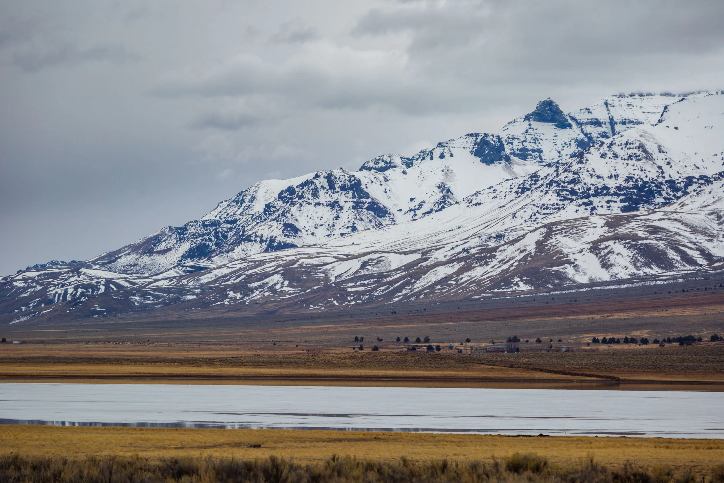 _MG_7035.jpg