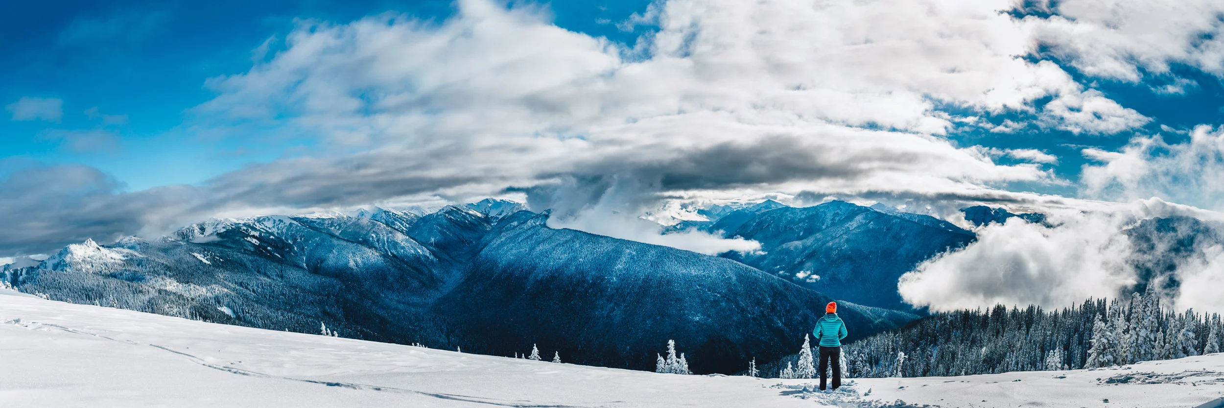 _MG_7325-Pano-Edit.jpg