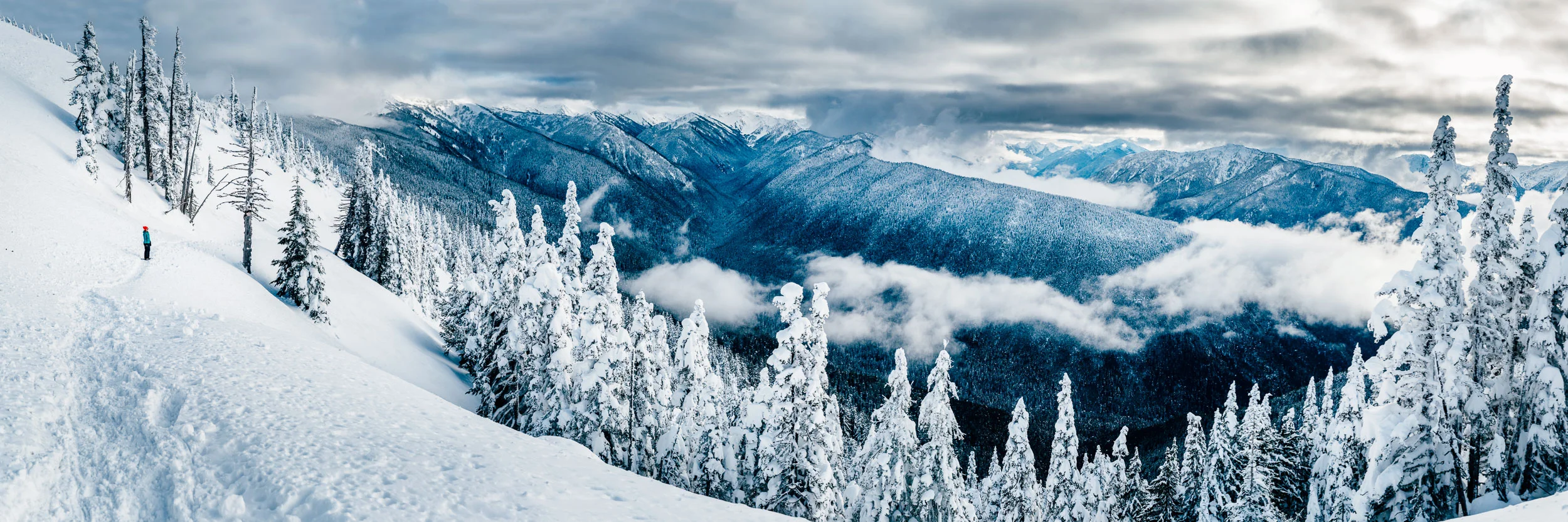 Hurricane Ridge Pano