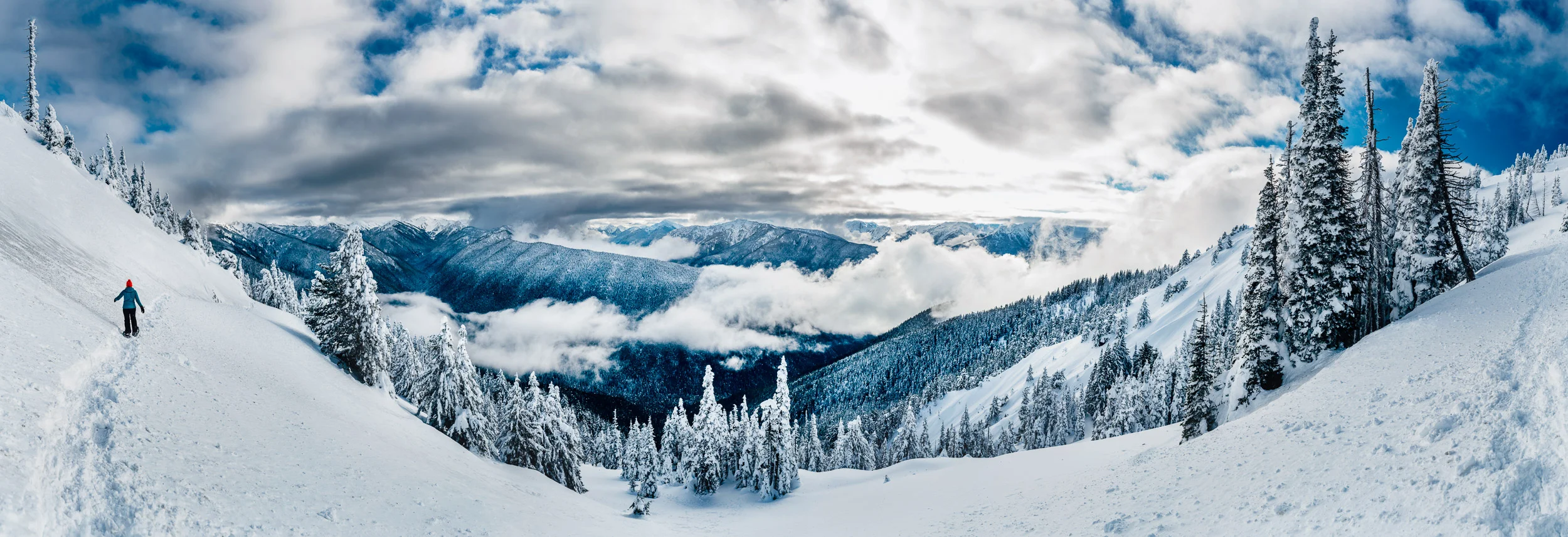 Snowy Olympic National Park