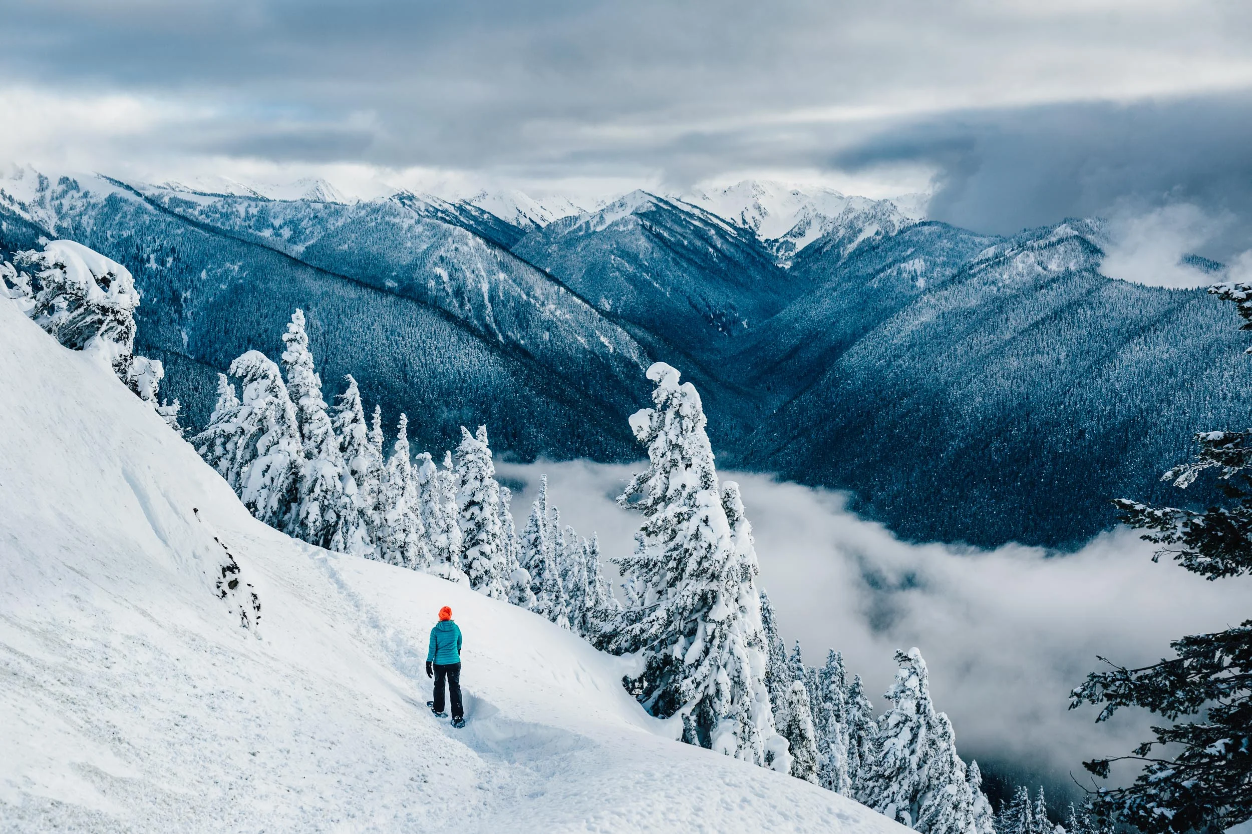Hurricane Ridge Snowshoeing