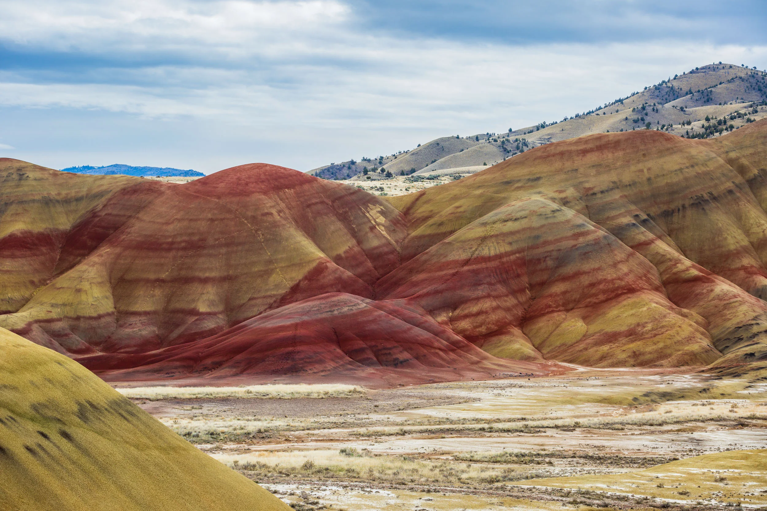 _MG_7947.jpg
