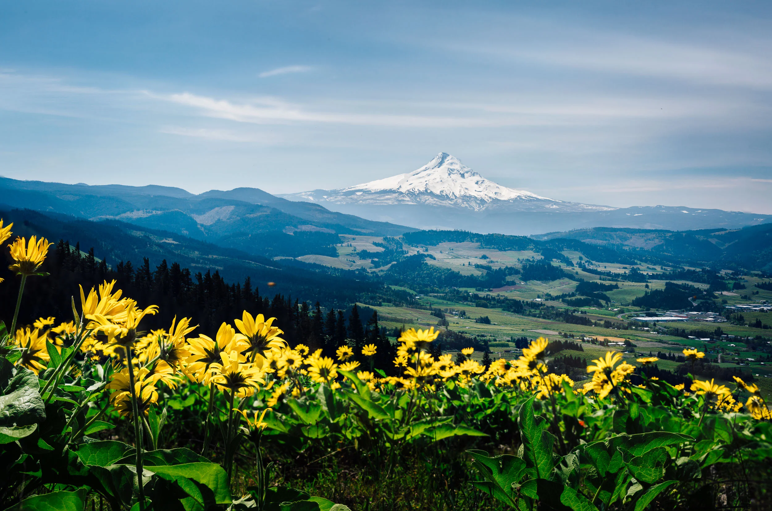 _MG_8011-edit.jpg
