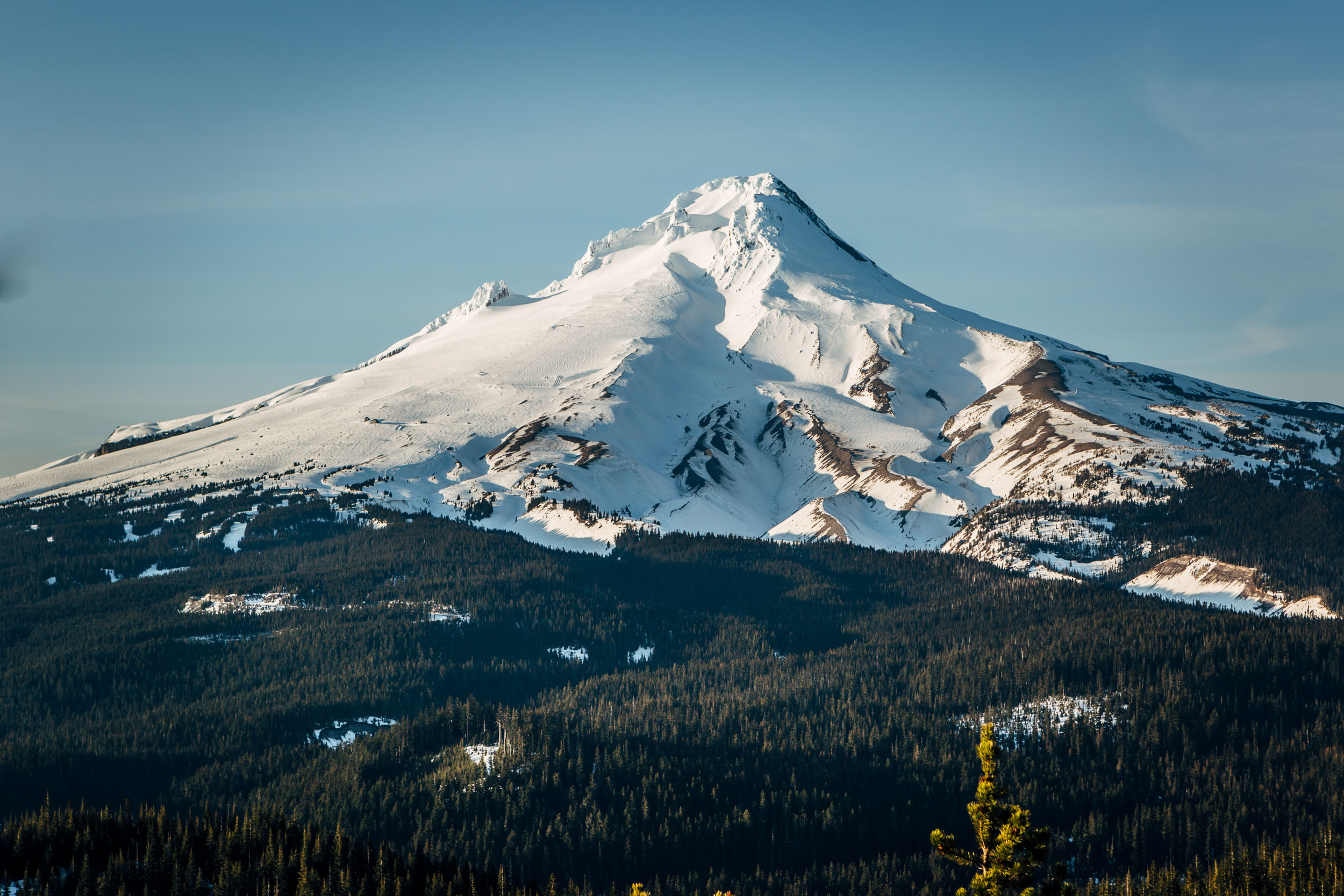 _MG_8128.jpg