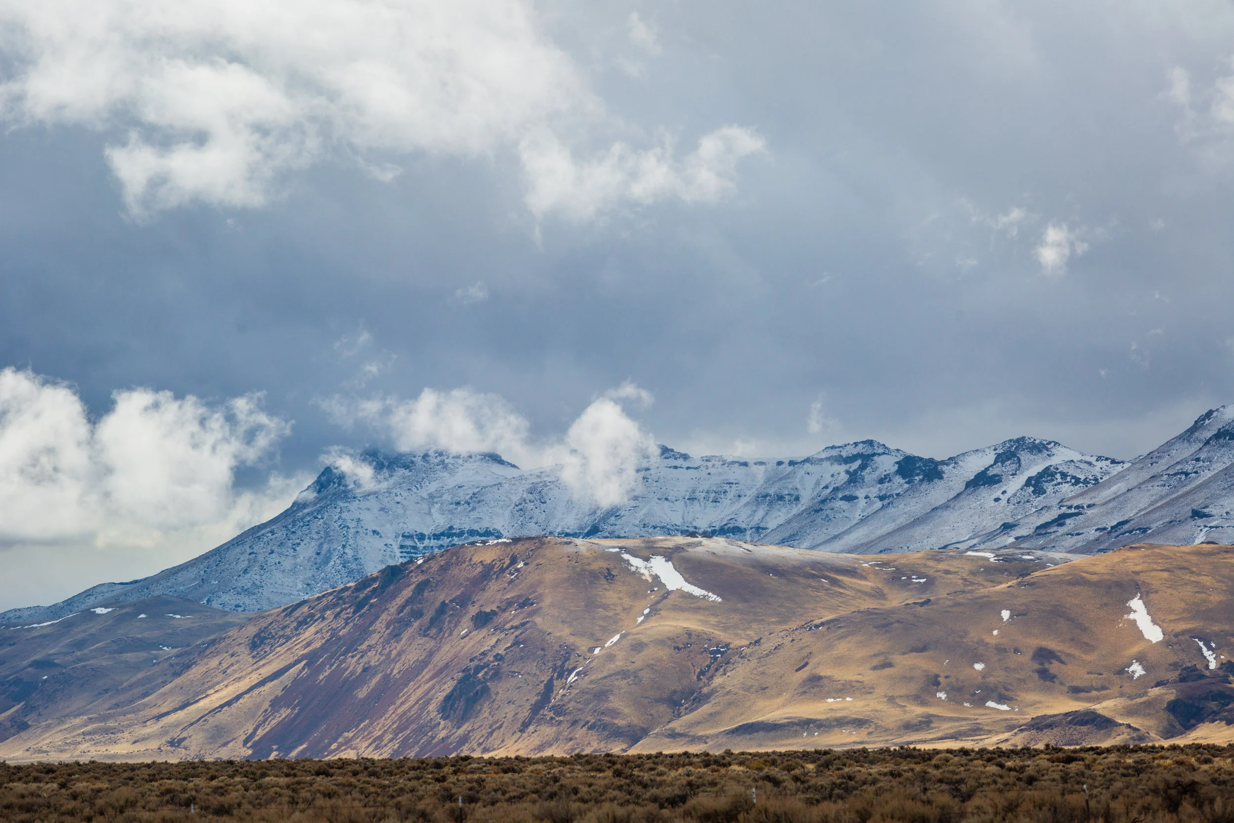 _MG_8518.jpg