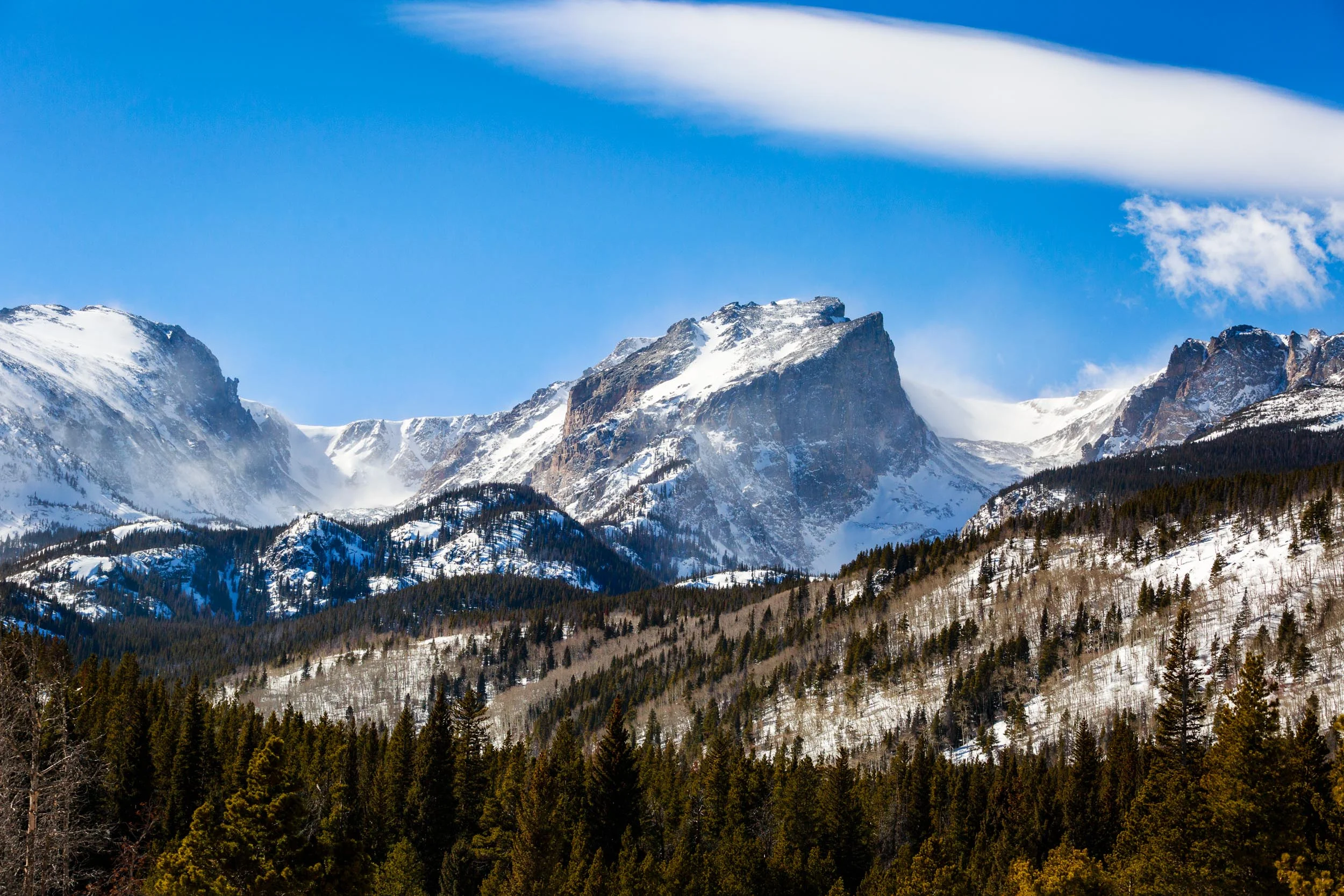 _MG_8771-Edit.jpg
