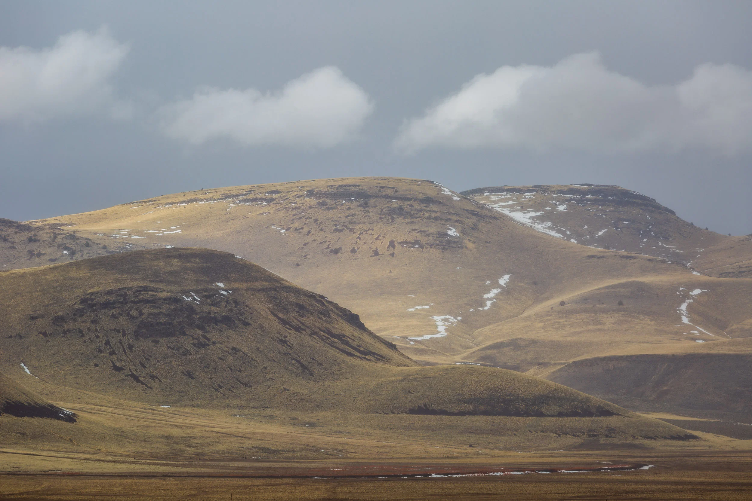 _MG_9168.jpg
