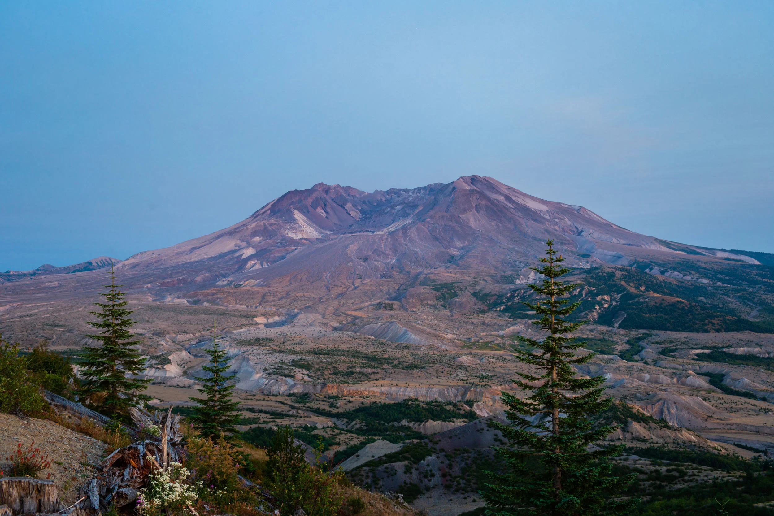 _MG_9435.jpg