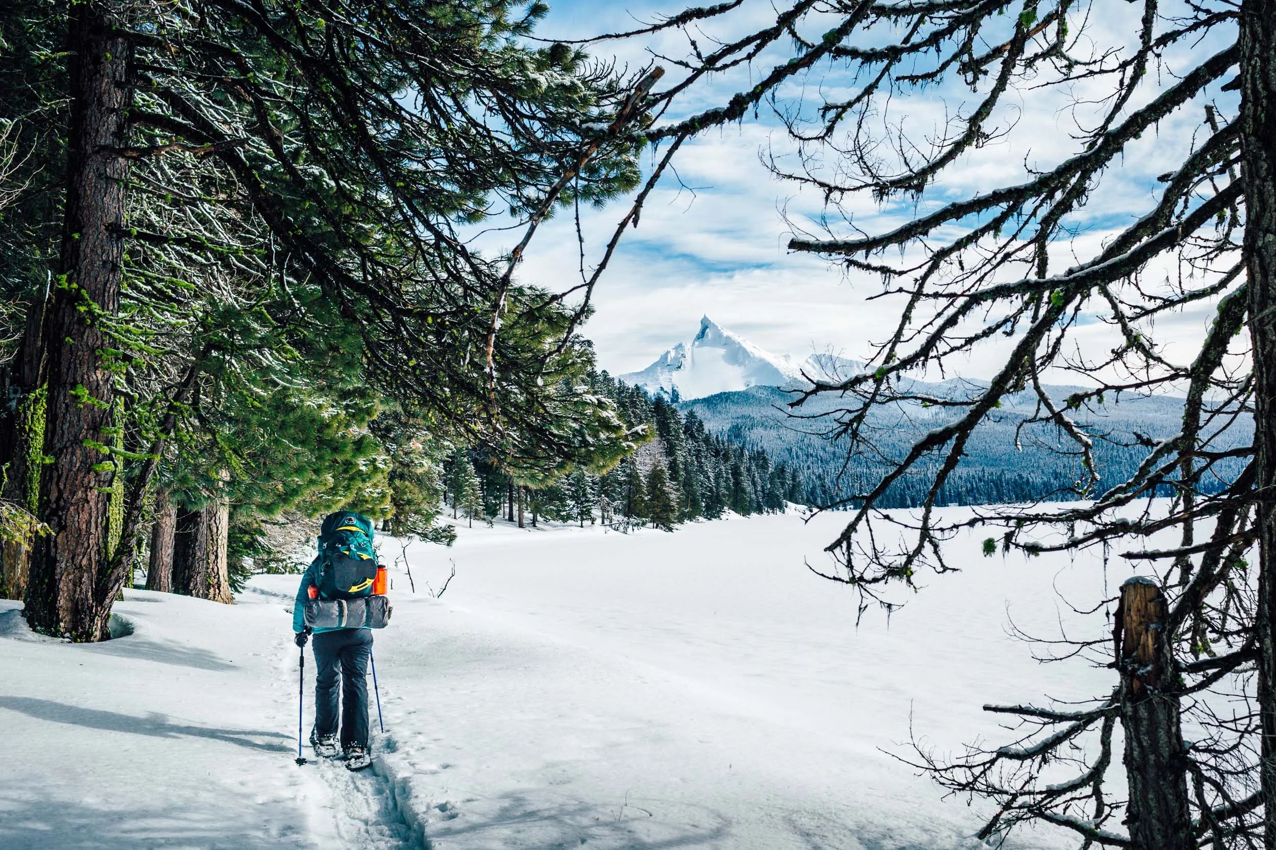 Diamond Lake Snowshoe