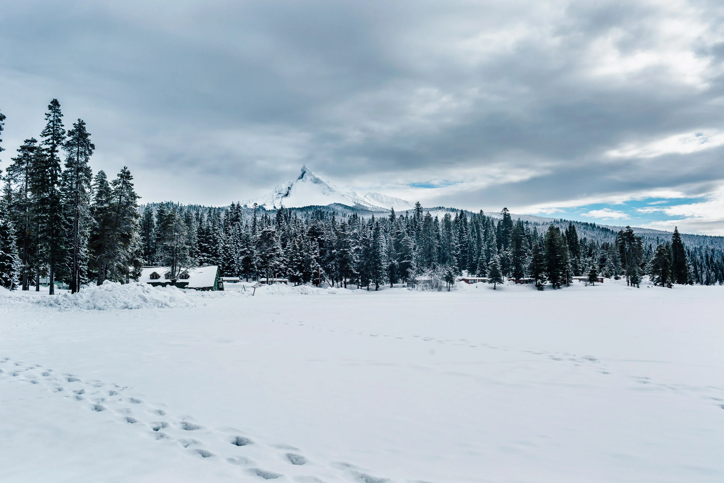_MG_9712-Edit.jpg