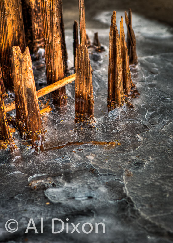 Bridge Piling