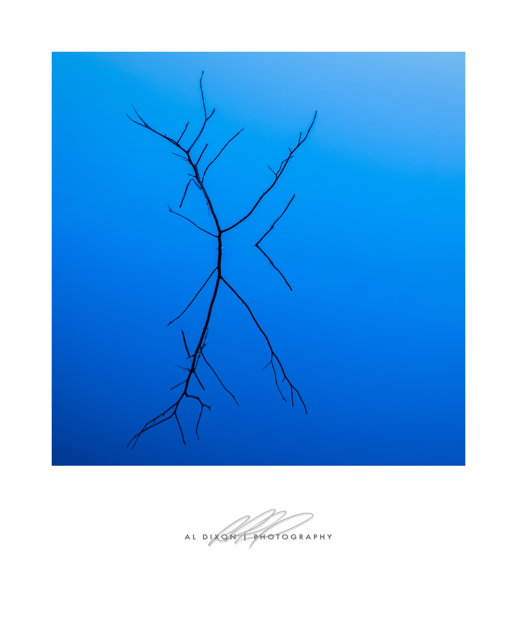Reflections in Blue