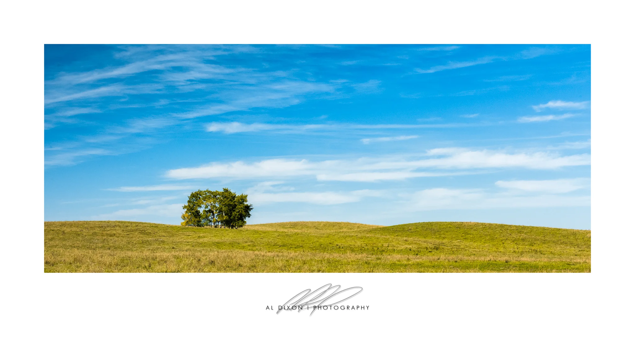 Solitary