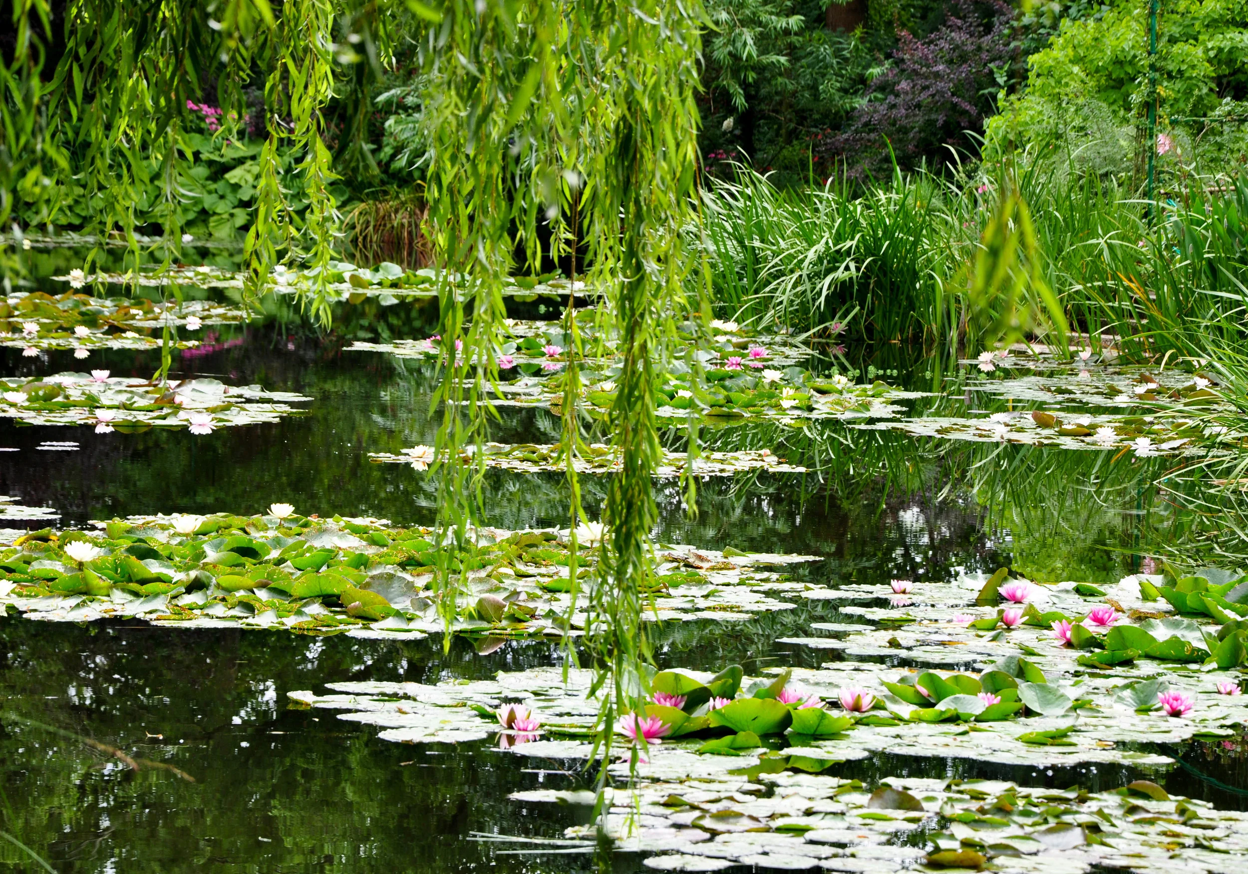 Twenty Days--Base Camp:  Saint-Witz, France 